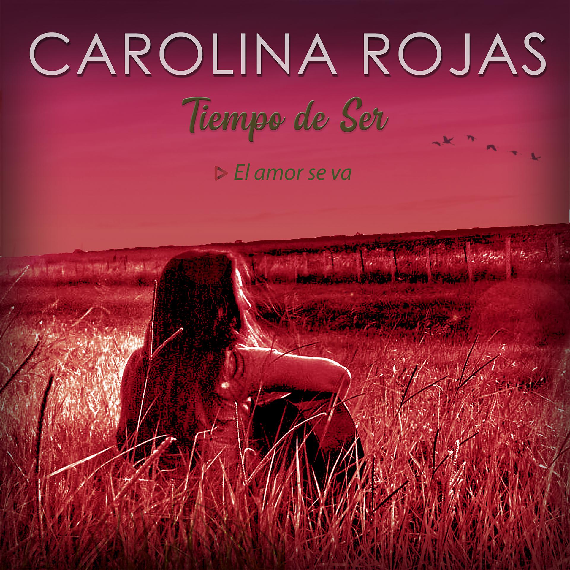 Постер альбома El Amor Se Va