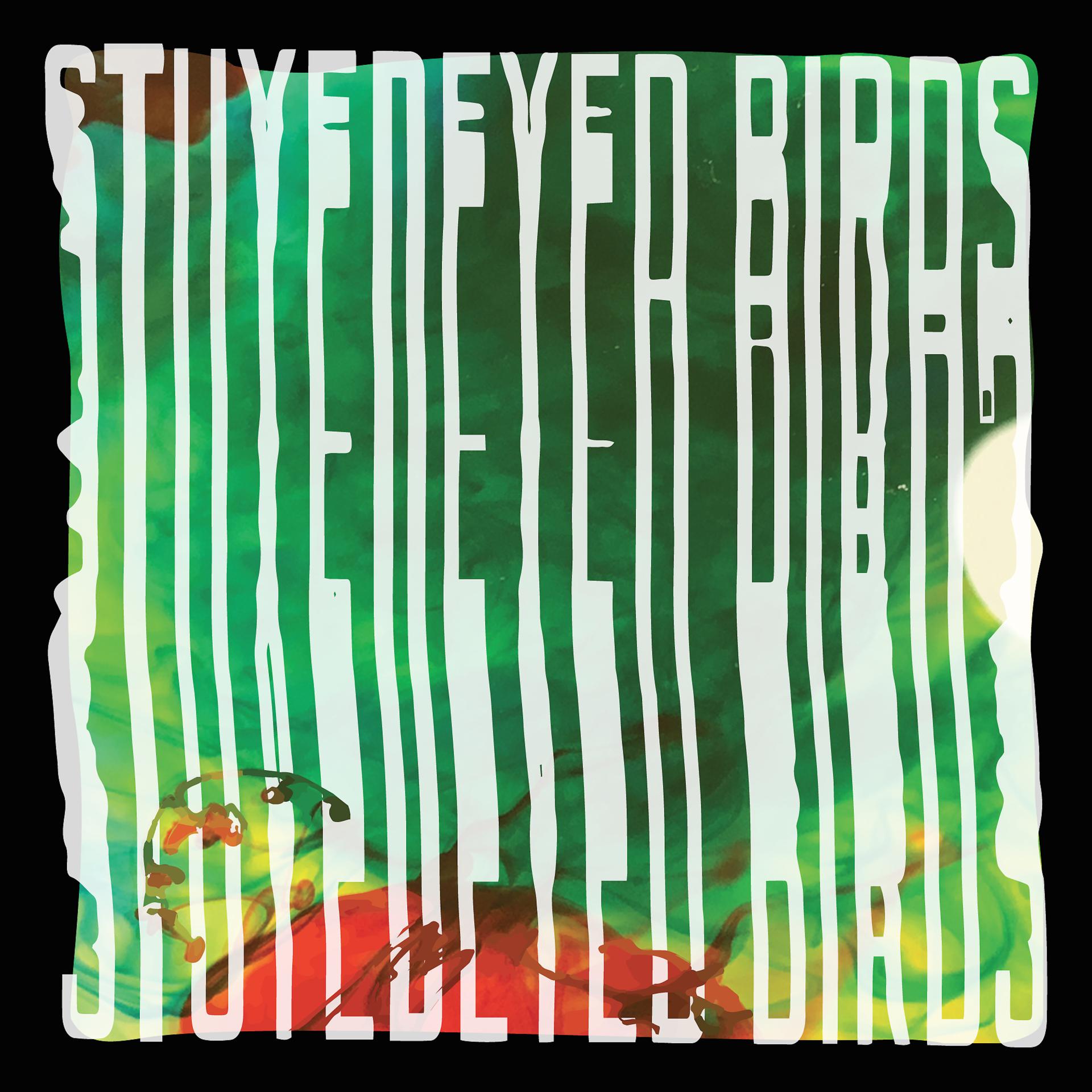 Постер альбома Stuyedeyed / Birds Split 7"