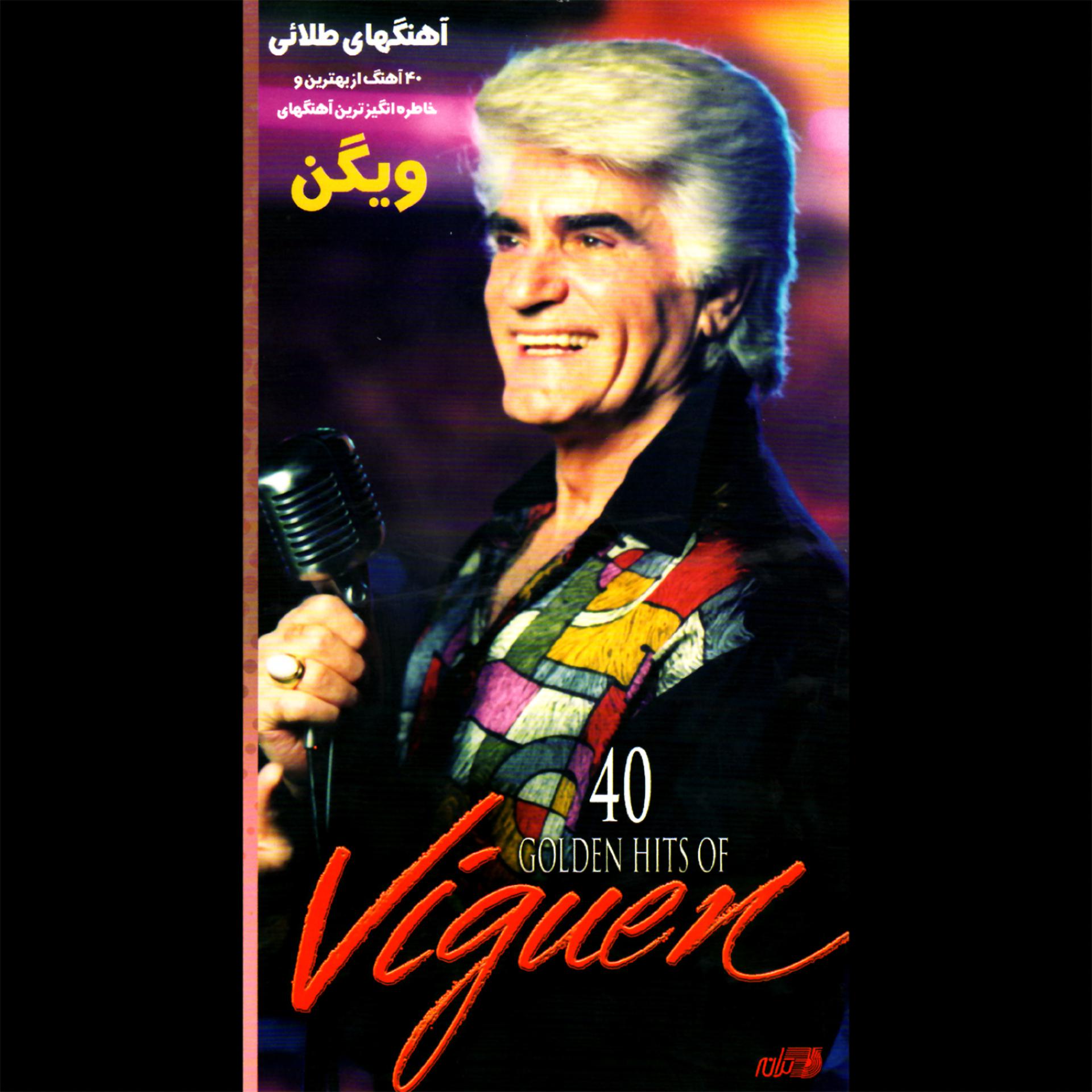 Постер альбома 40 Golden Hits Of Viguen