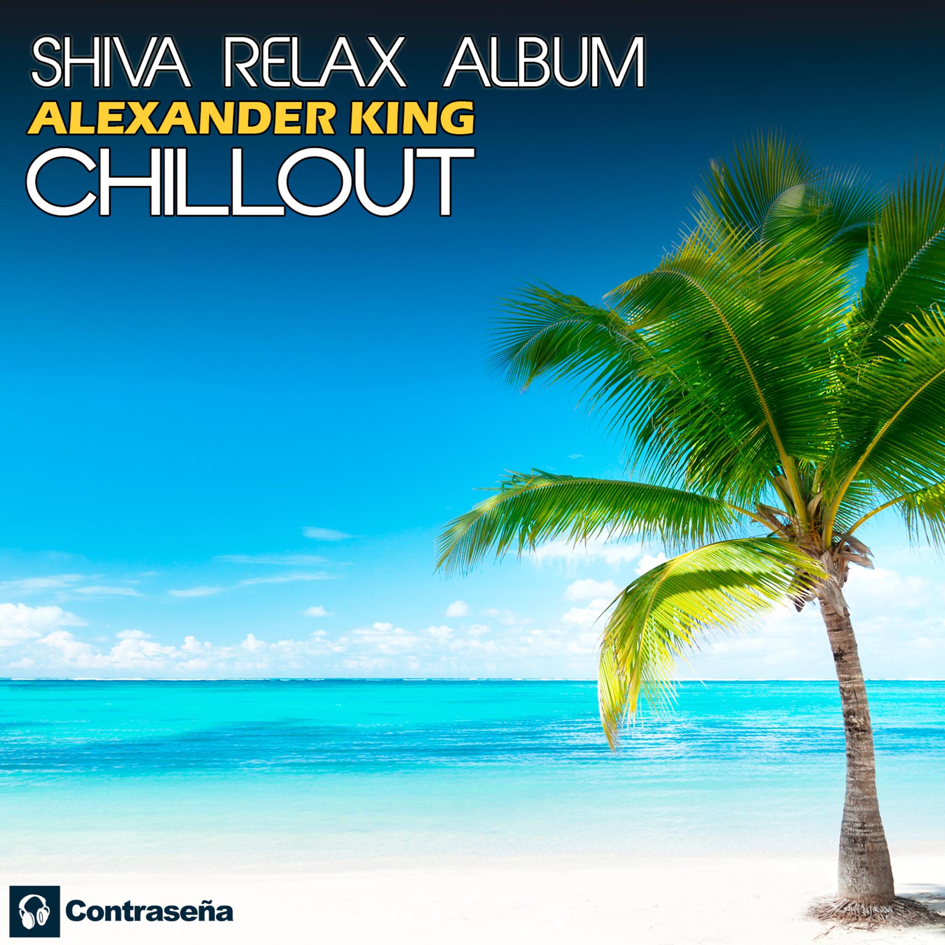 Постер альбома Shiva Relax Album