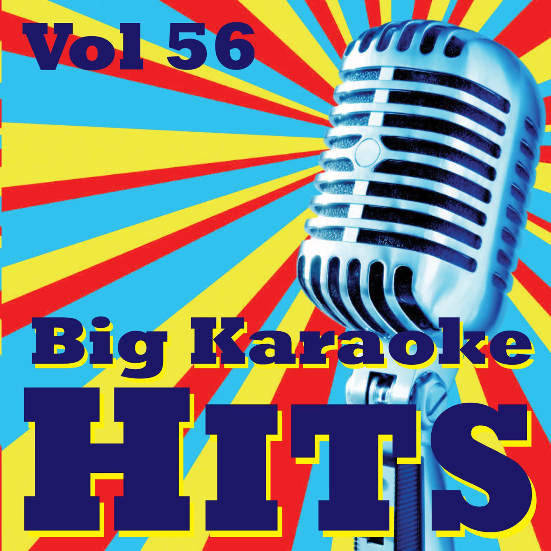 Постер альбома Big Karaoke Hits Vol.56
