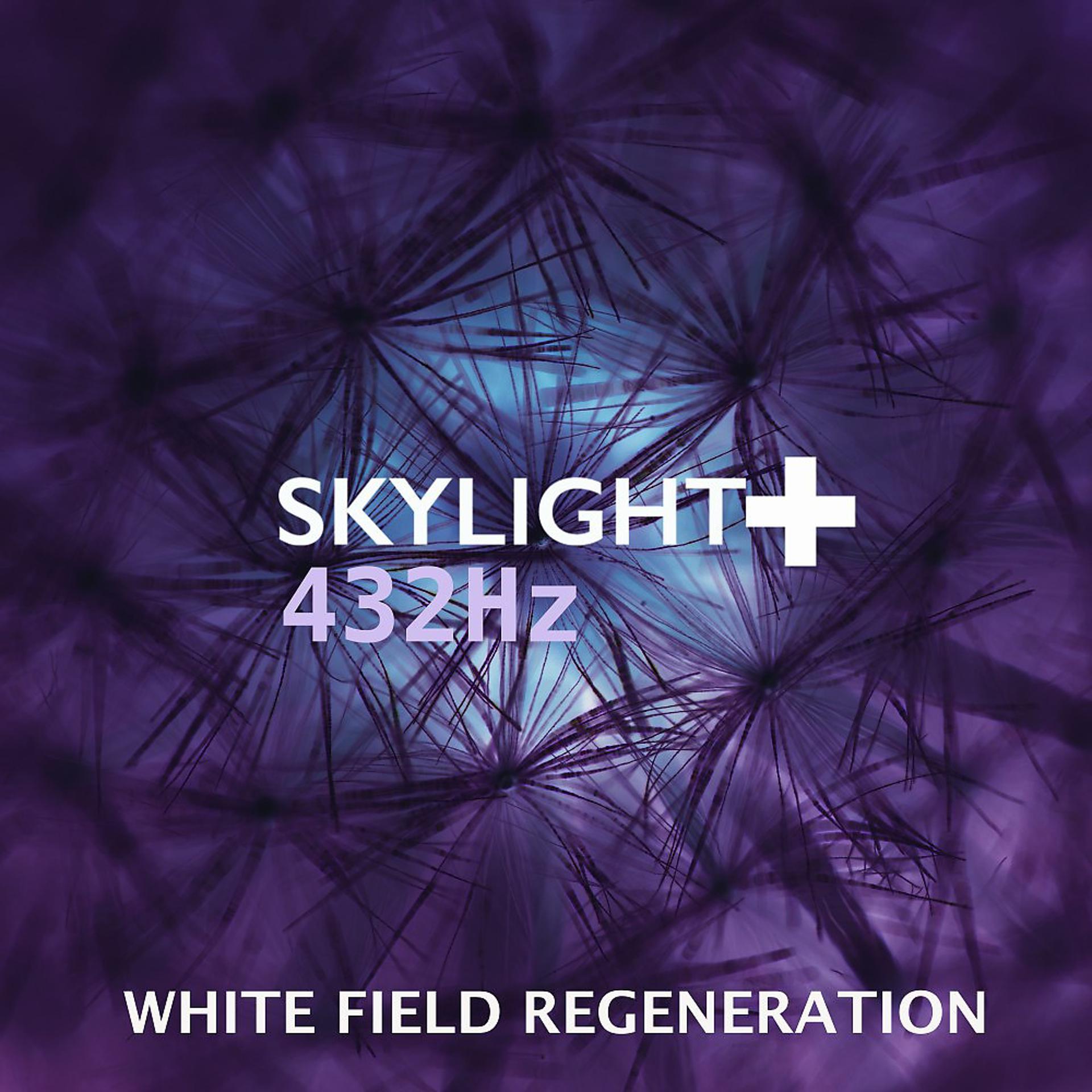 Постер альбома White Field Regeneration (Balancing Binaural Waves)