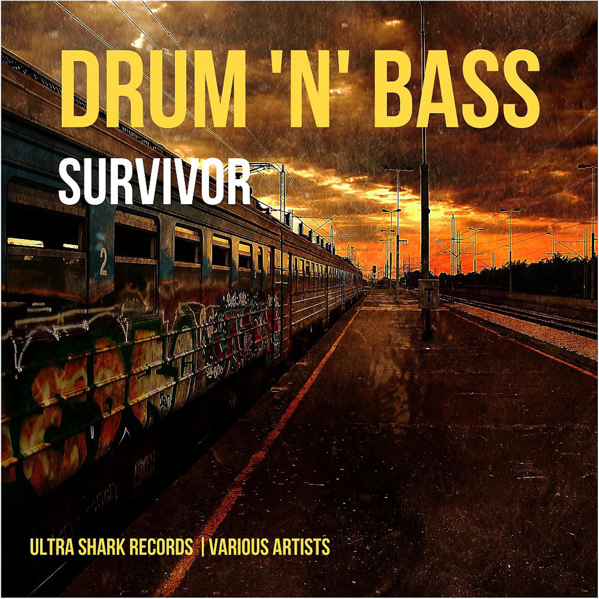 Постер альбома Drum and Bass Survivor, Vol. 1