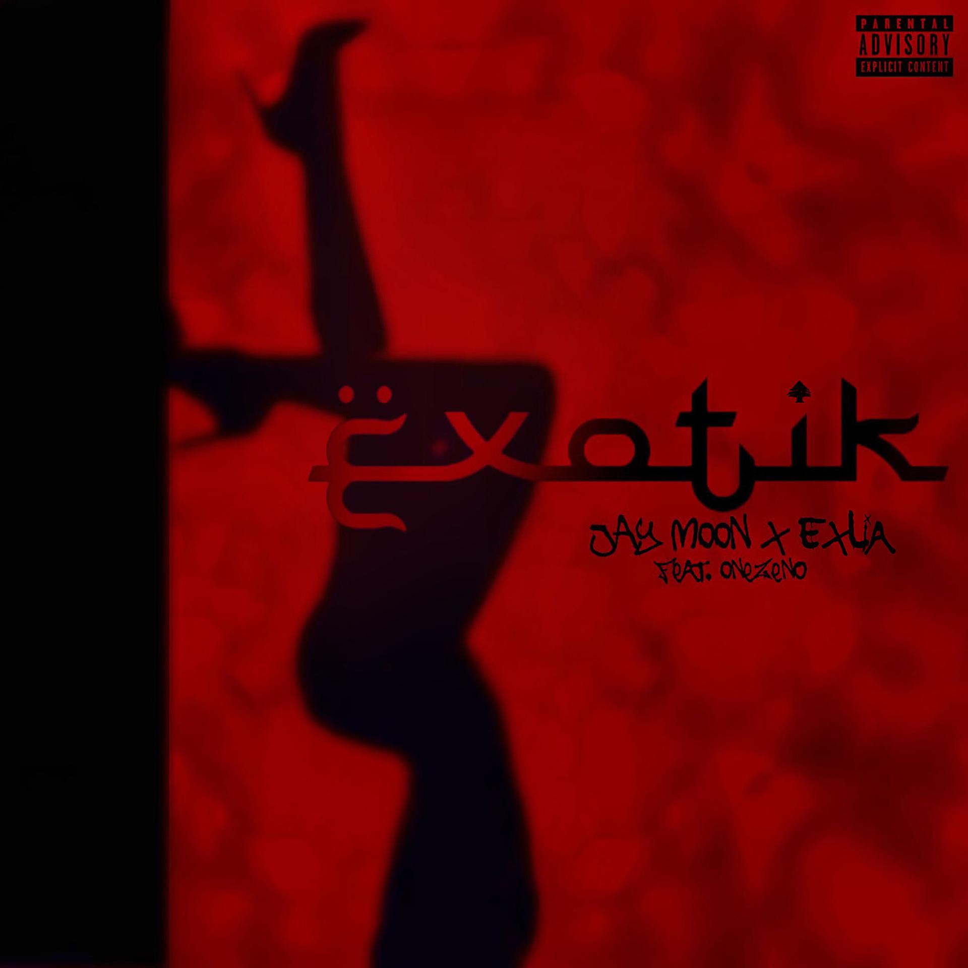 Постер альбома Exotik
