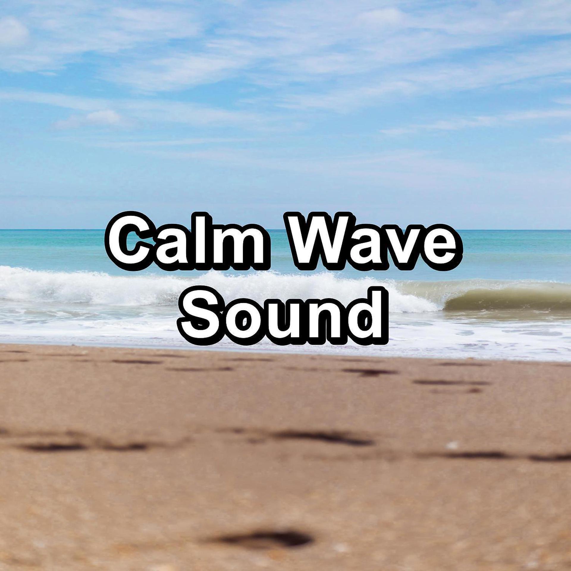 Постер альбома Calm Wave Sound