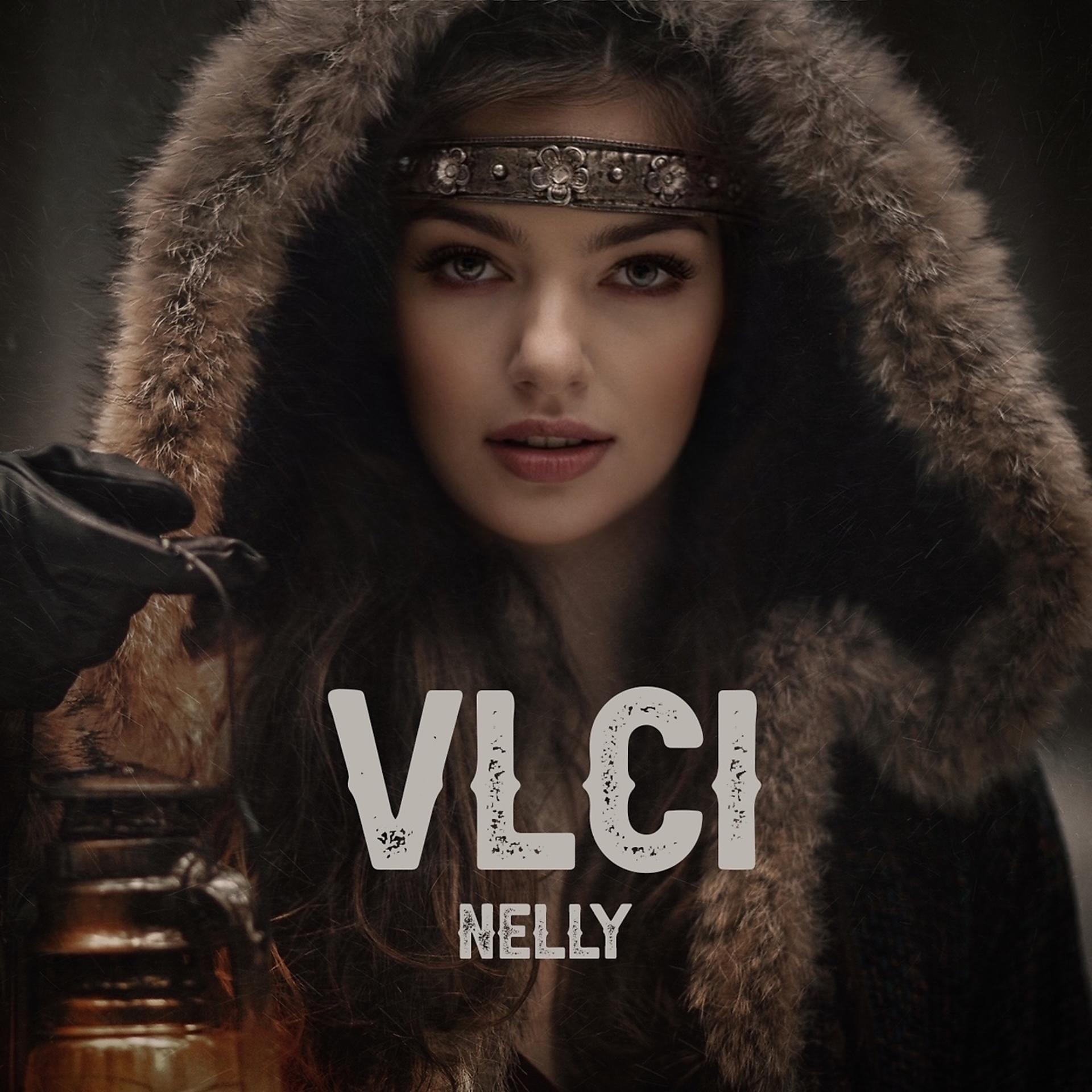 Постер альбома Vlci