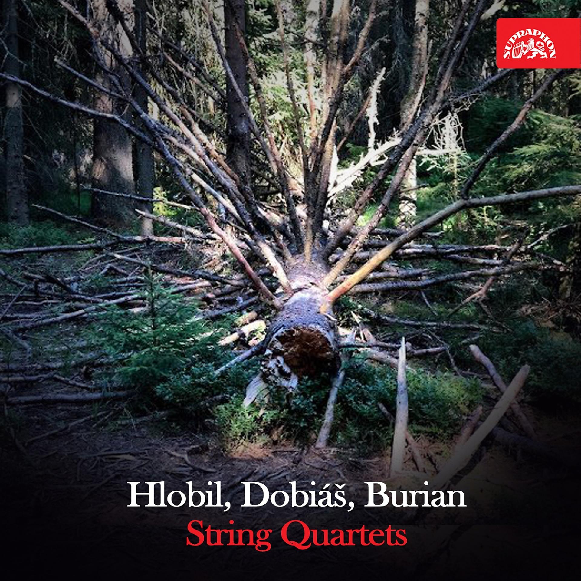 Постер альбома Hlobil, Dobiáš & Burian: String Quartets