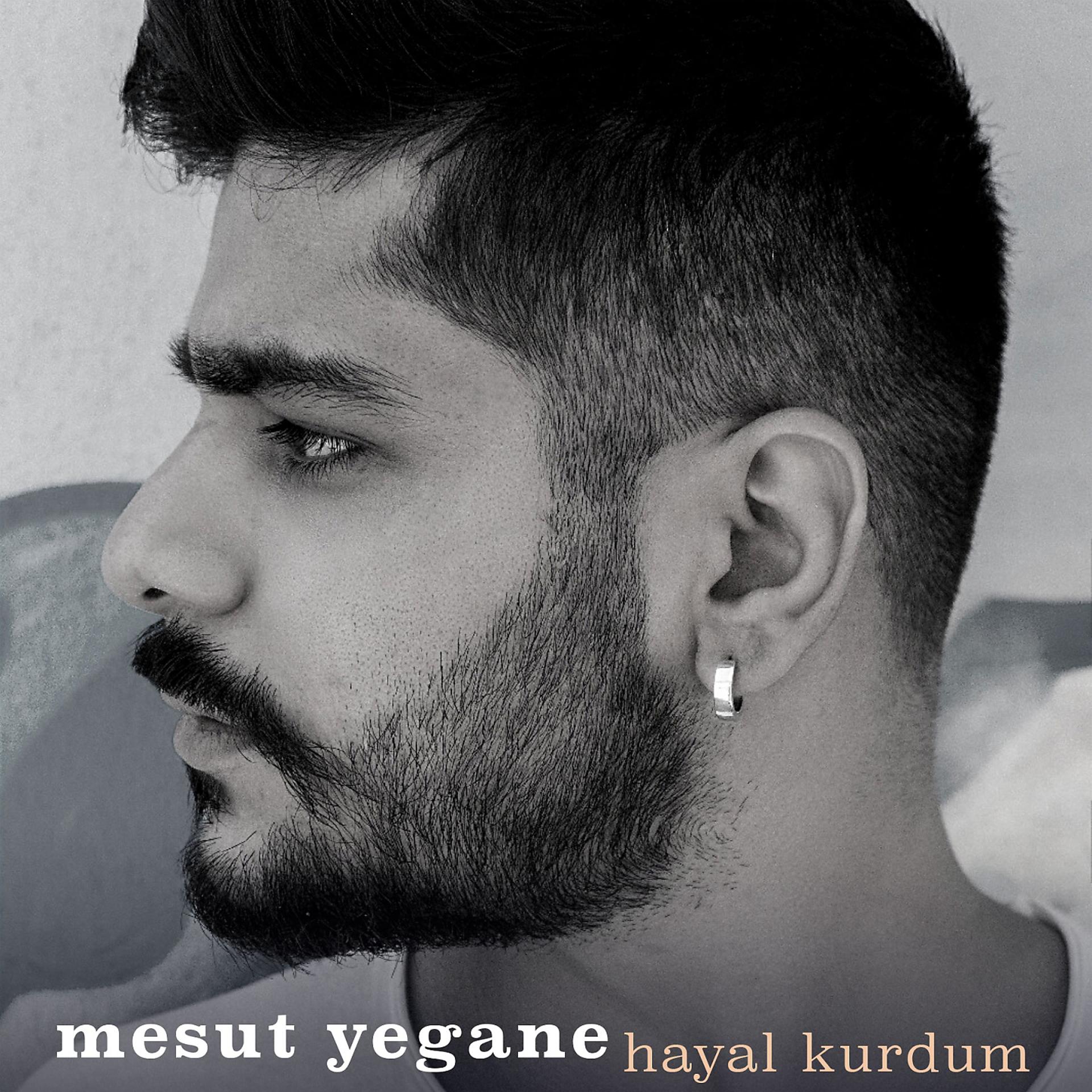 Постер альбома Hayal Kurdum
