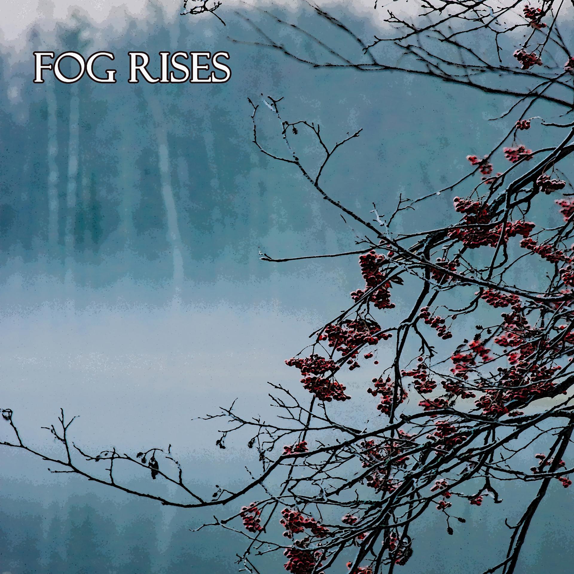 Постер альбома Fog Rises