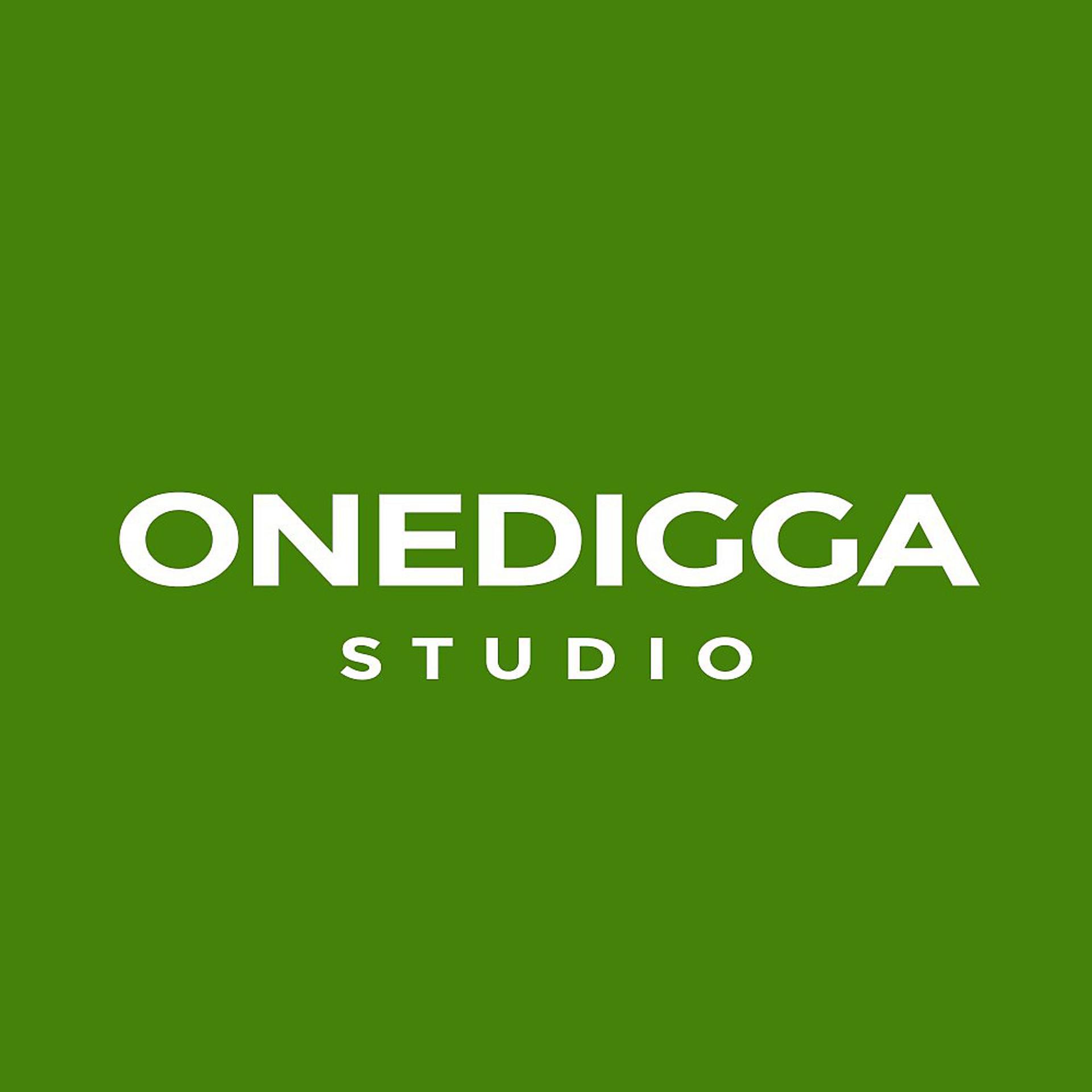 Постер альбома Onedigga Studio