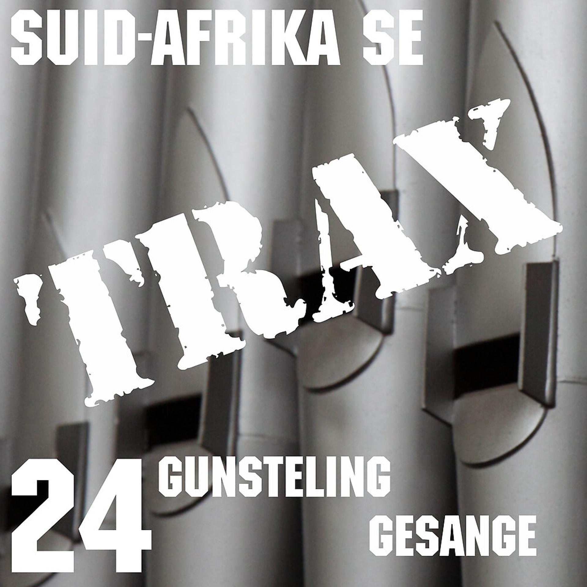 Постер альбома Suid-Afrika Se 24 Gunsteling Gesange