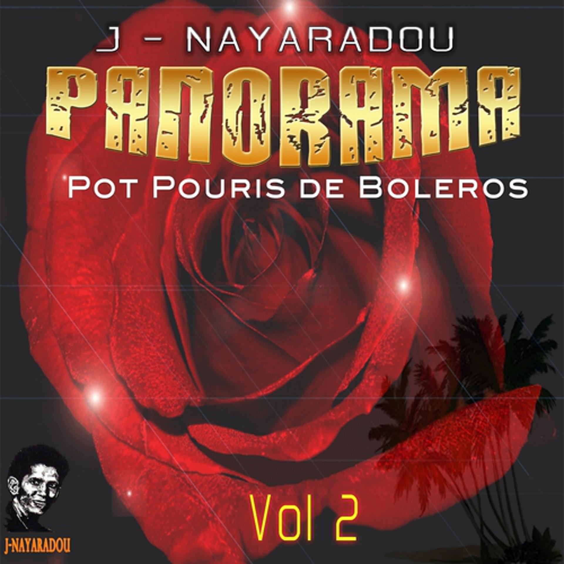 Постер альбома Panorama, vol. 2