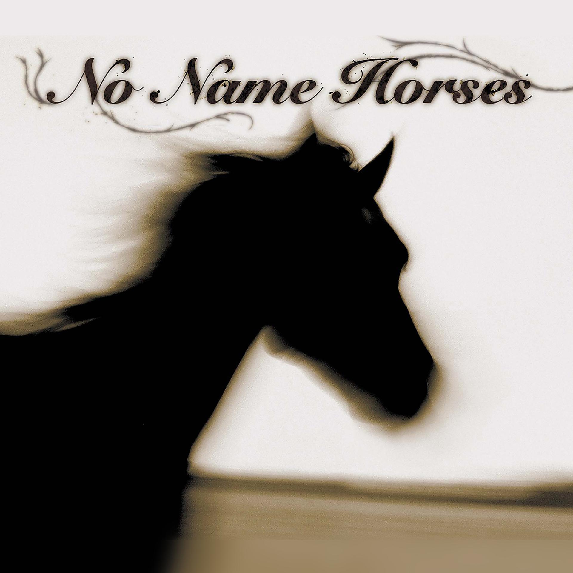 Постер альбома No Name Horses