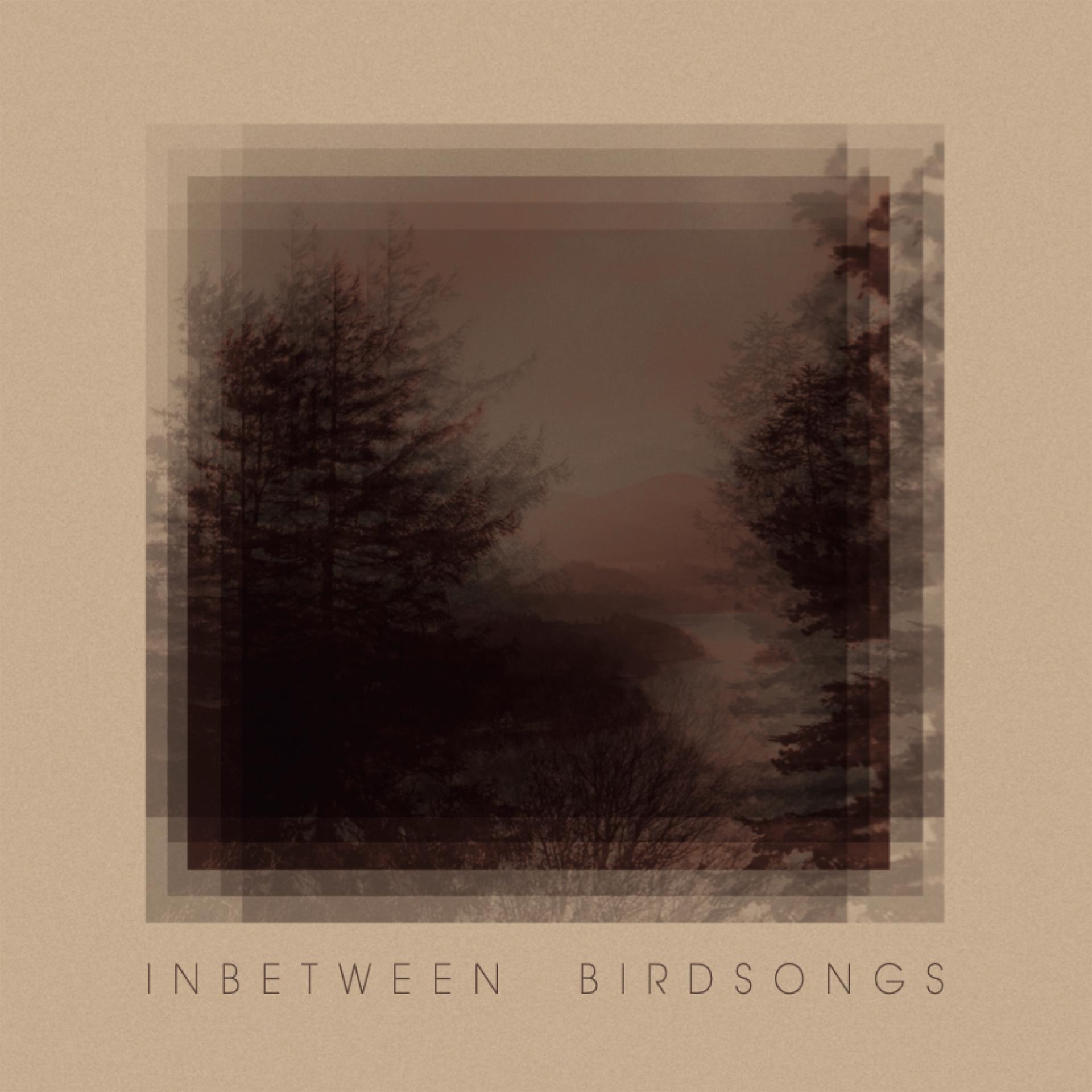 Постер альбома Inbetween Birdsongs