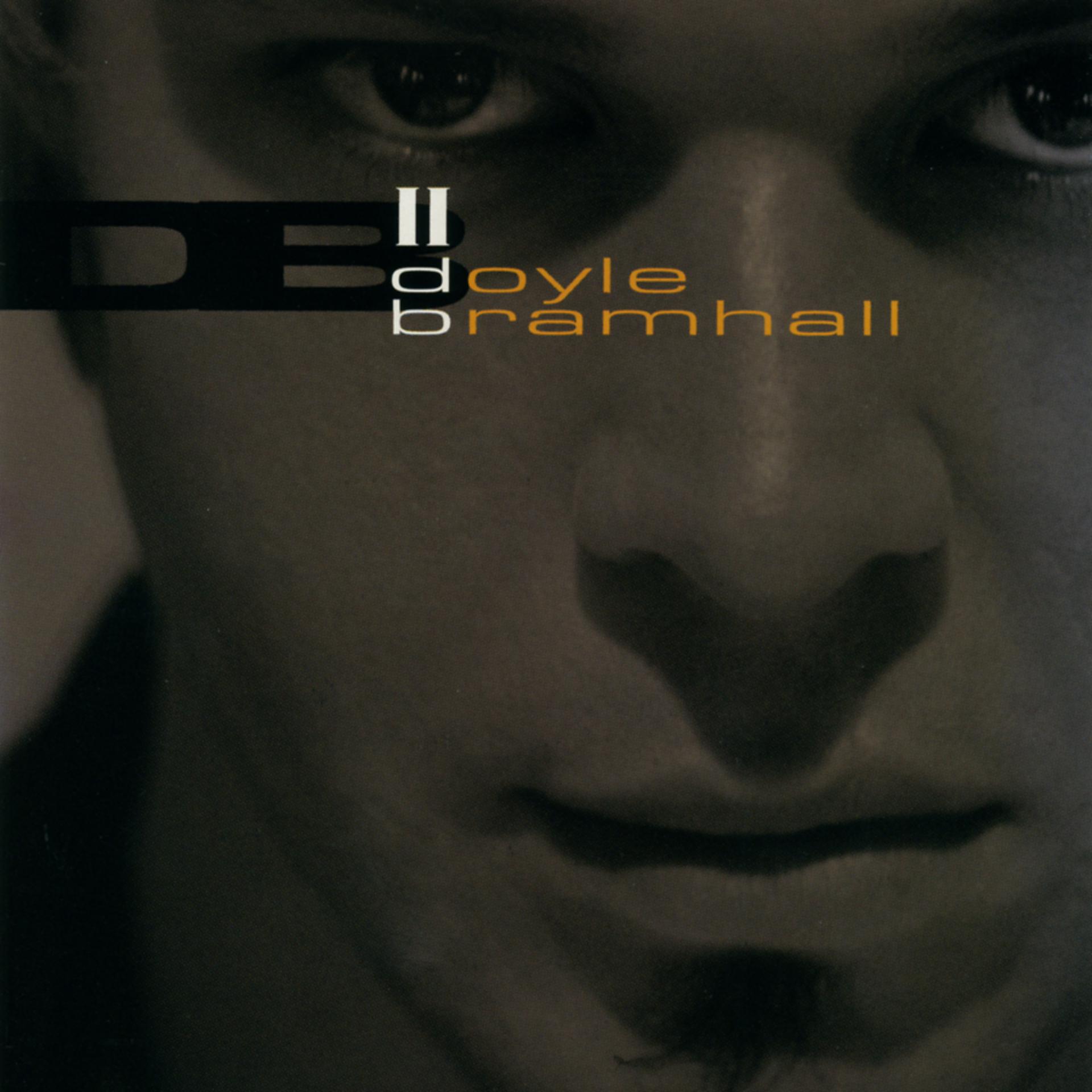 Постер альбома Doyle Bramhall II