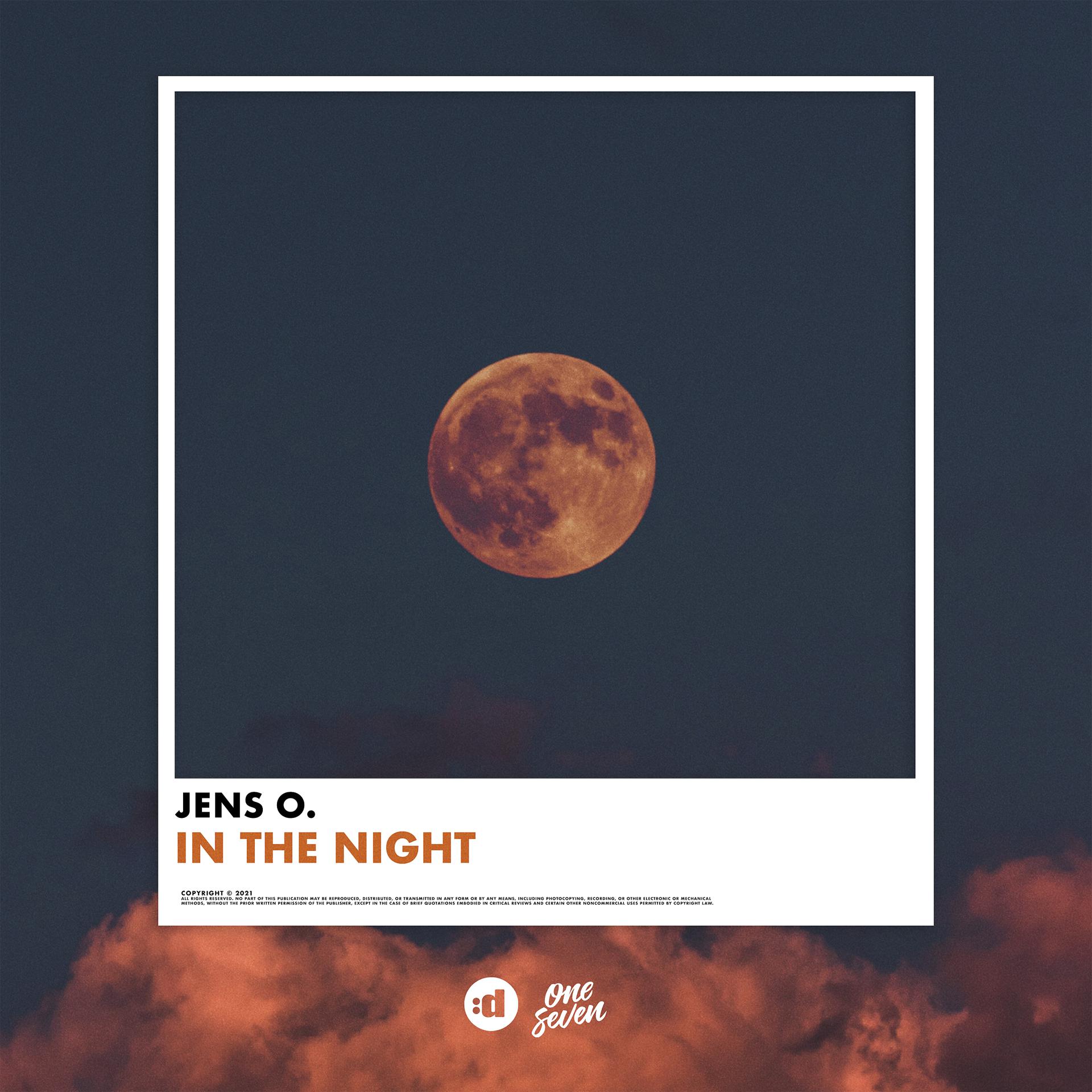 Постер альбома In the Night