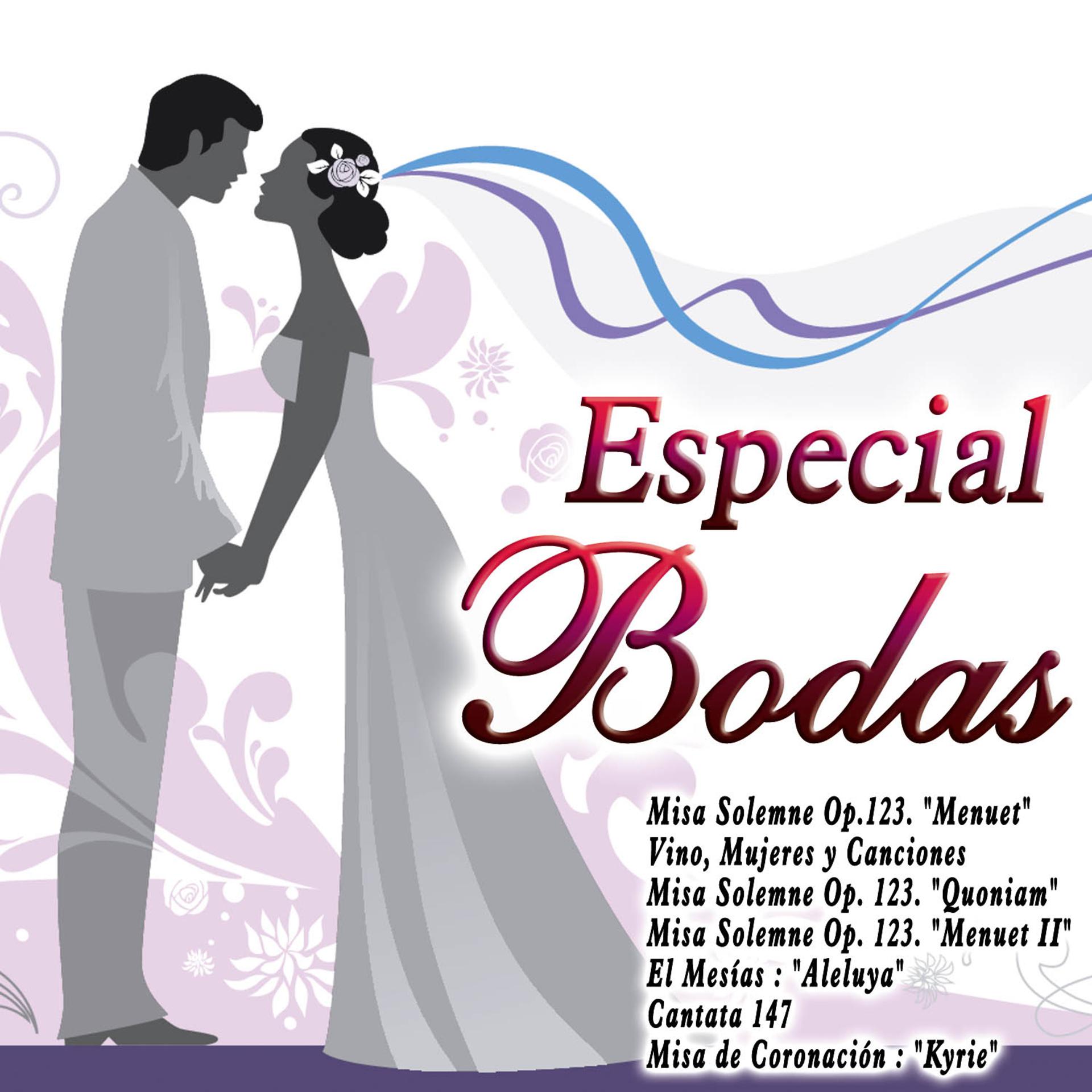 Постер альбома Especial Bodas
