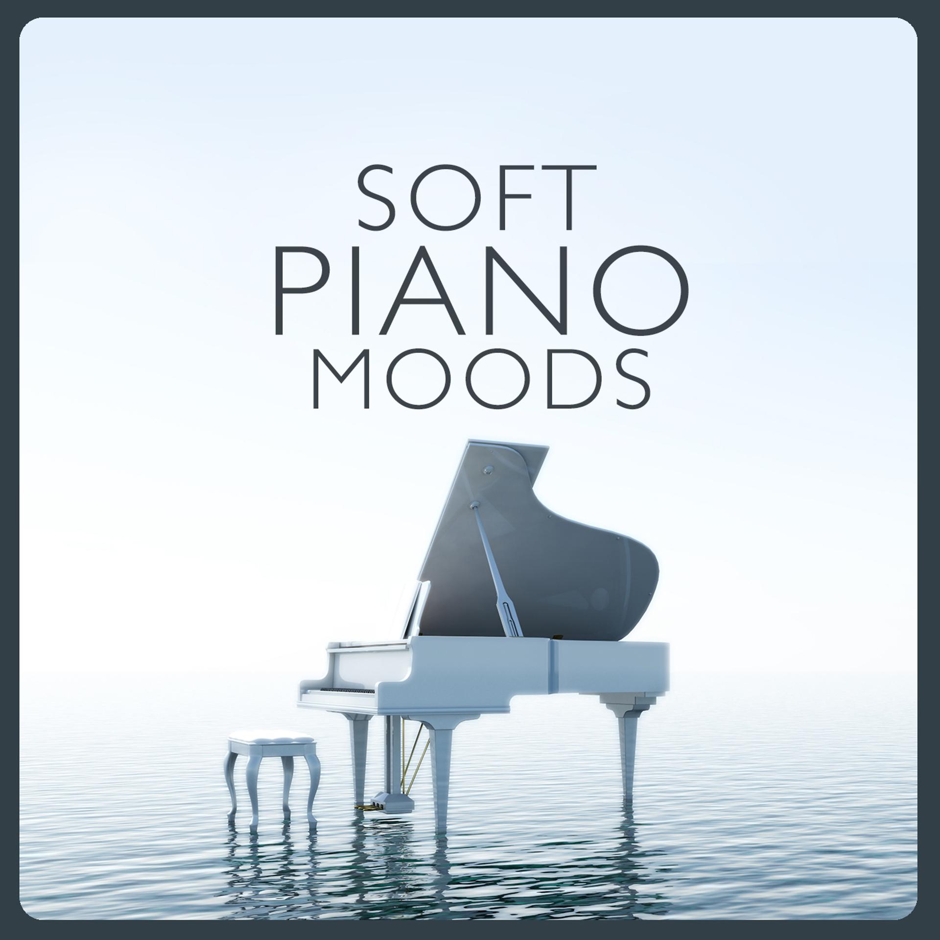 Постер альбома Soft Piano Moods