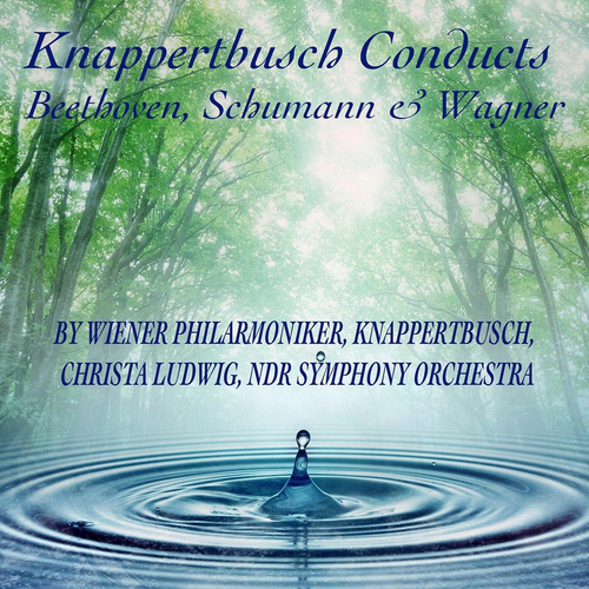 Постер альбома Knappertsbusch Conduct Beethoven, Schumann & Wagner