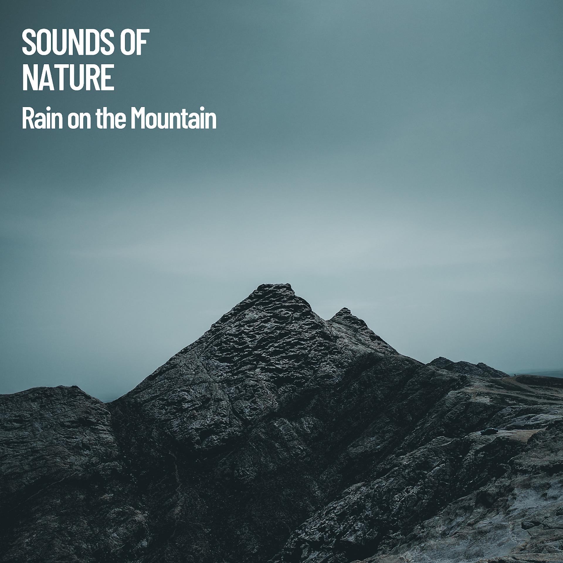 Постер альбома Sounds of Nature: Rain on the Mountain