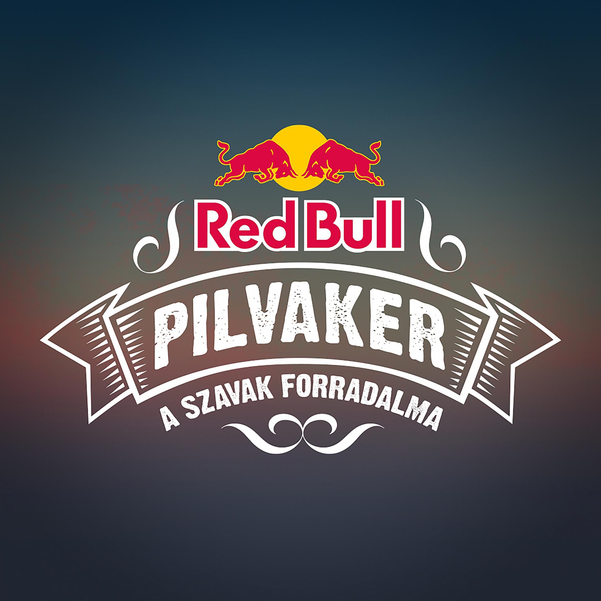 Постер альбома Red Bull Pilvaker 2021
