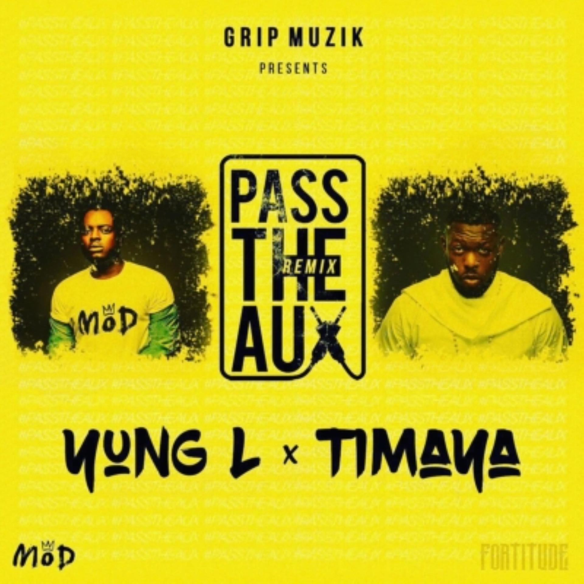 Постер альбома Pass the Aux (Remix)