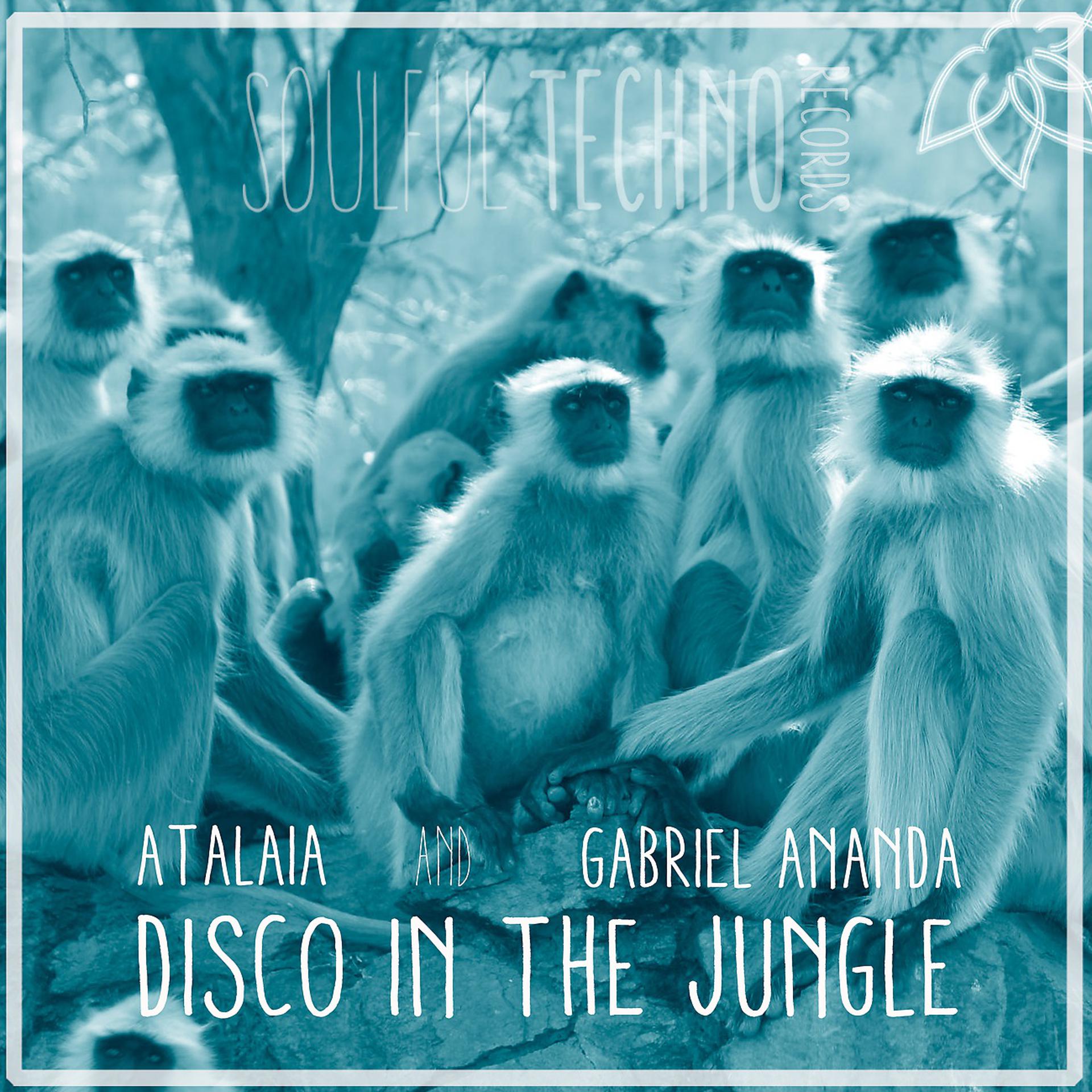 Постер альбома Disco In The Jungle