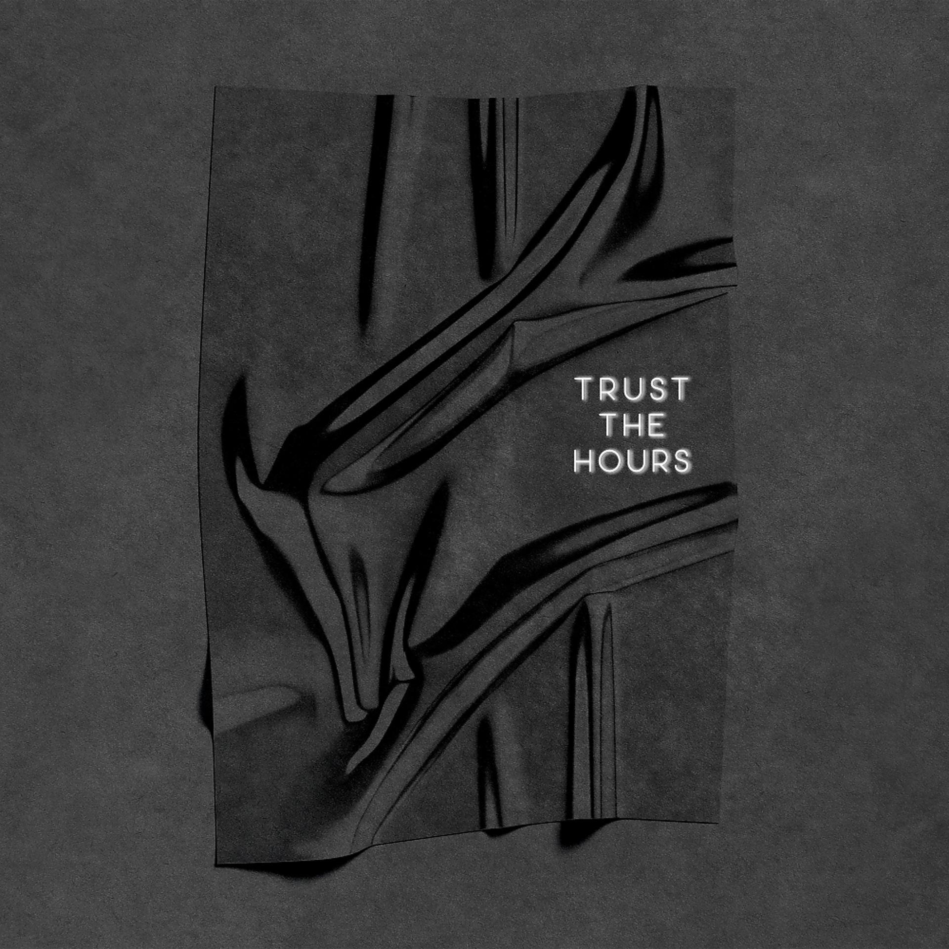 Постер альбома Trust The Hours