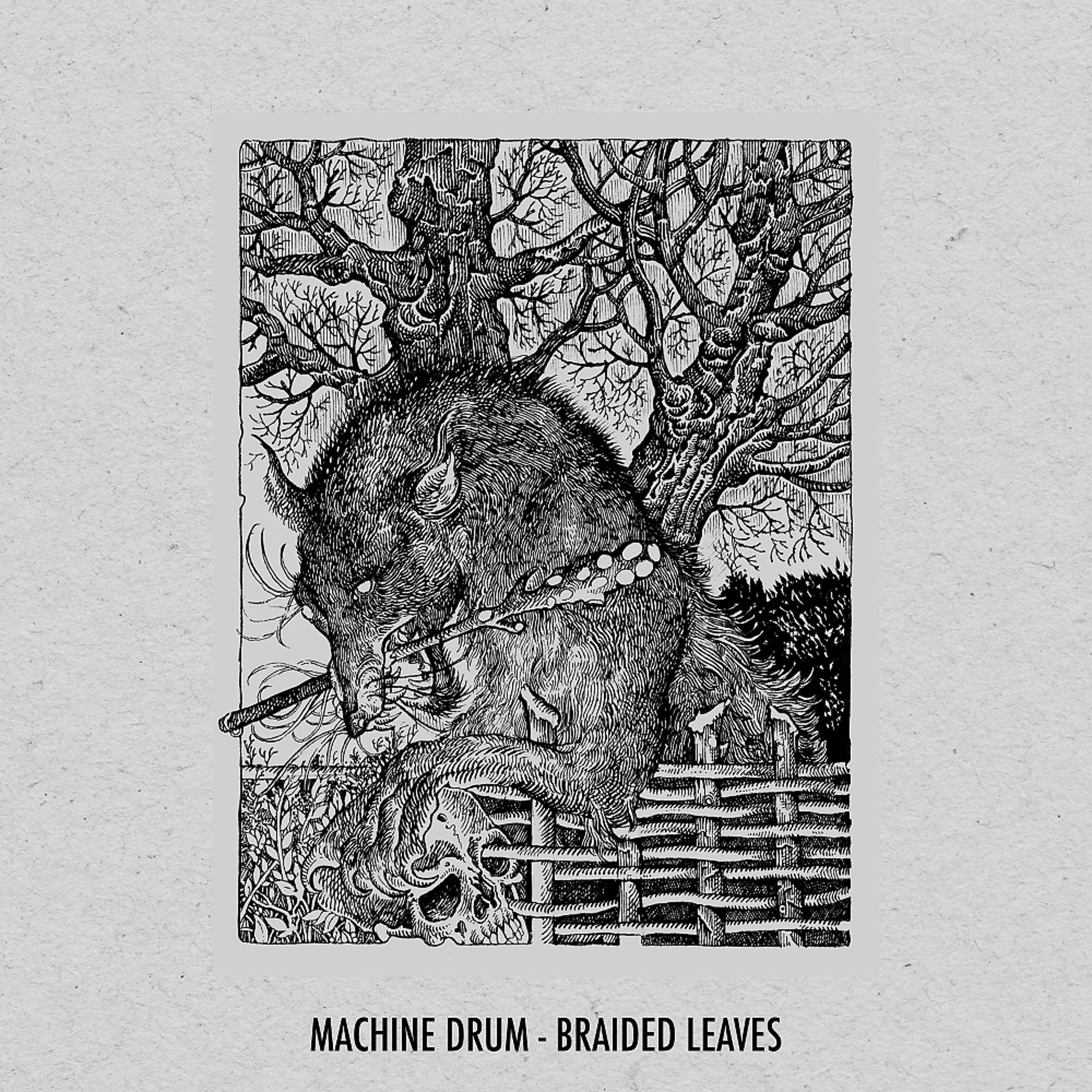 Постер альбома Braided Leaves