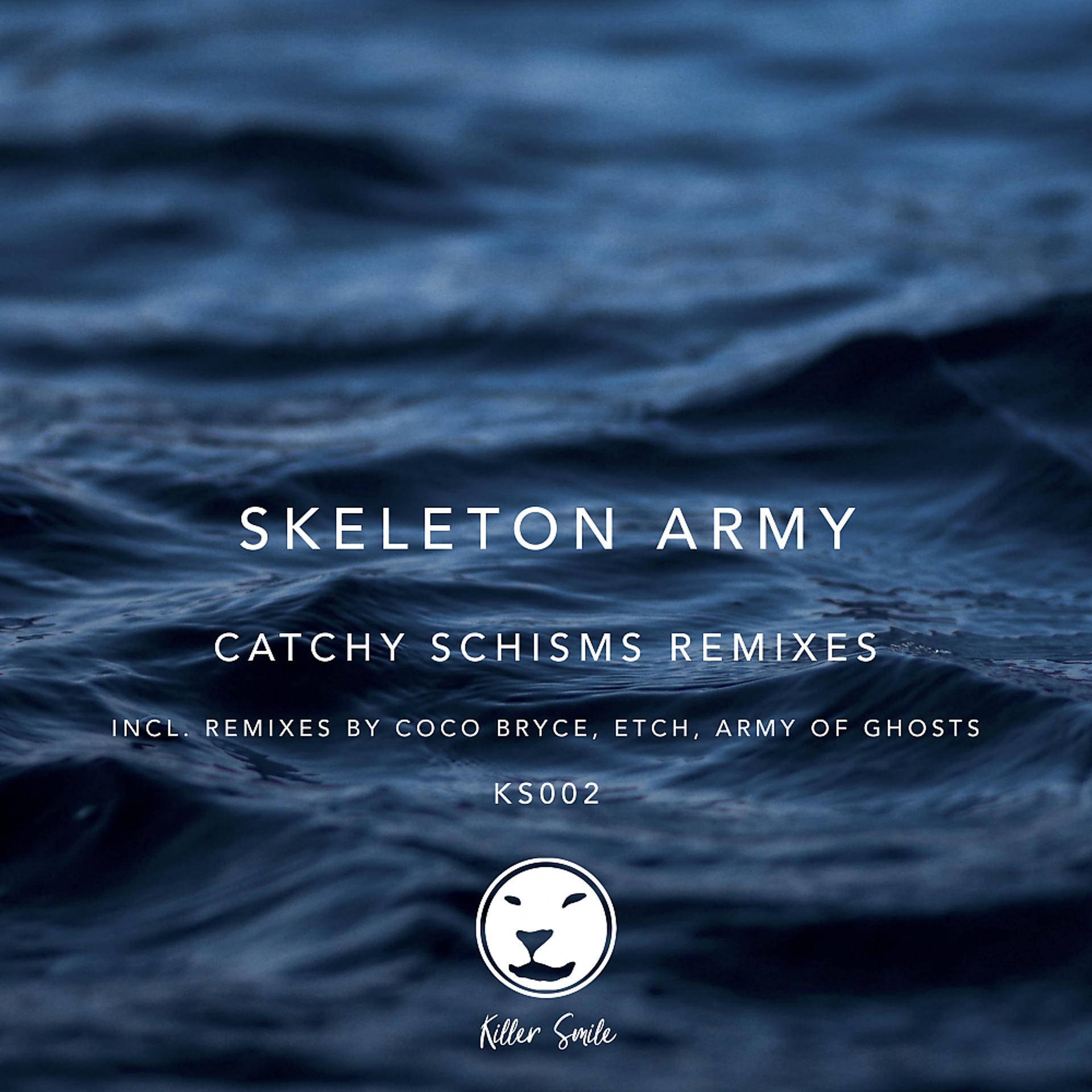 Постер альбома Catchy Schisms Remixes