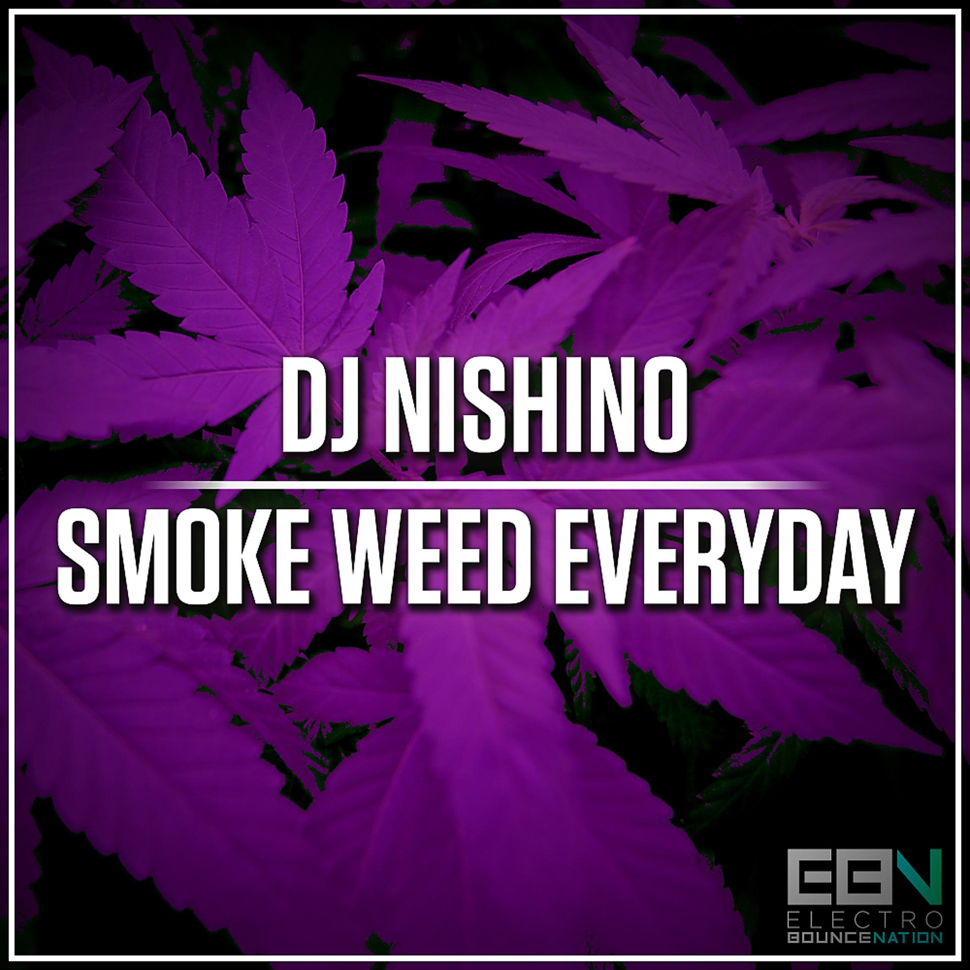 Постер альбома Smoke Weed Everyday