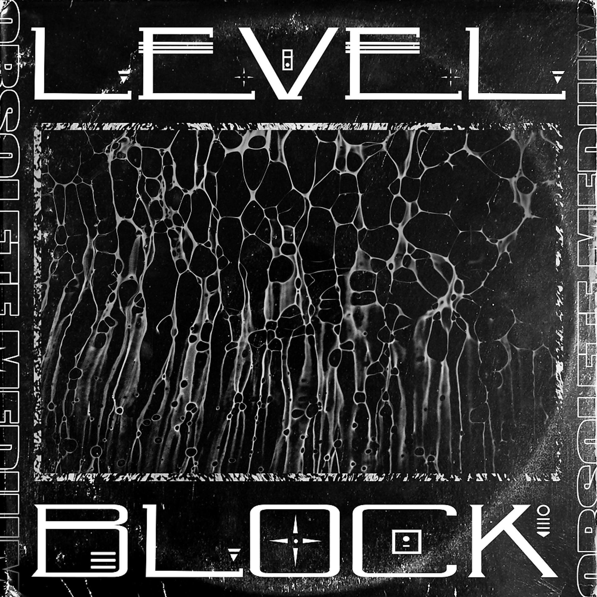 Постер альбома LEVEL / BLOCK