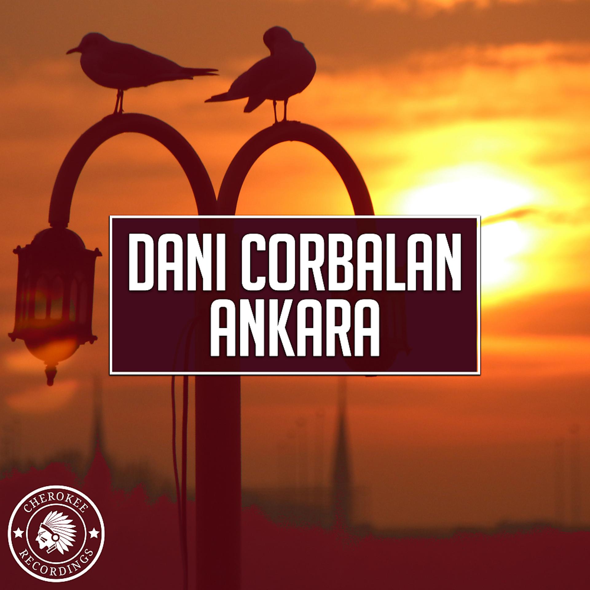 Постер альбома Ankara