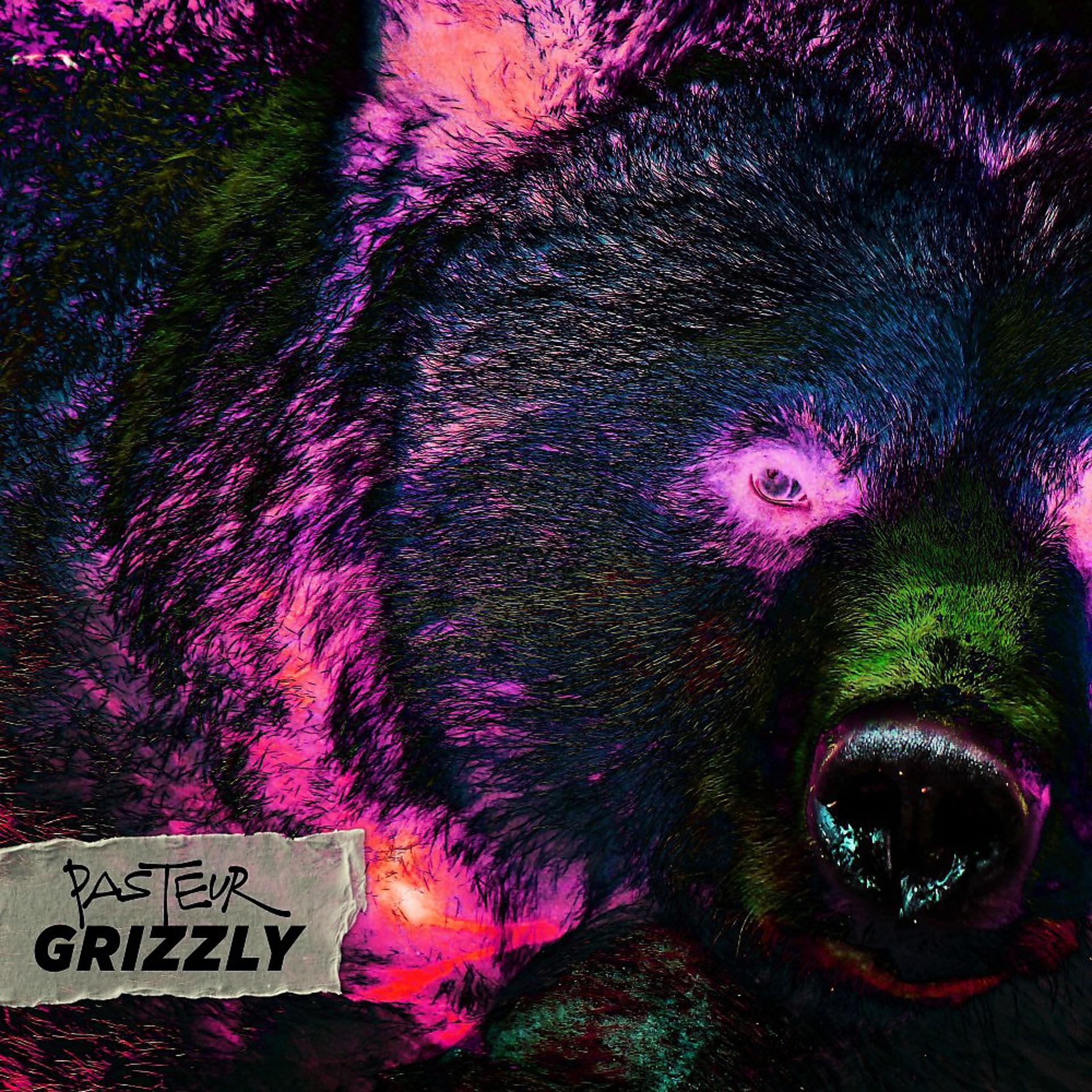 Постер альбома Grizzly