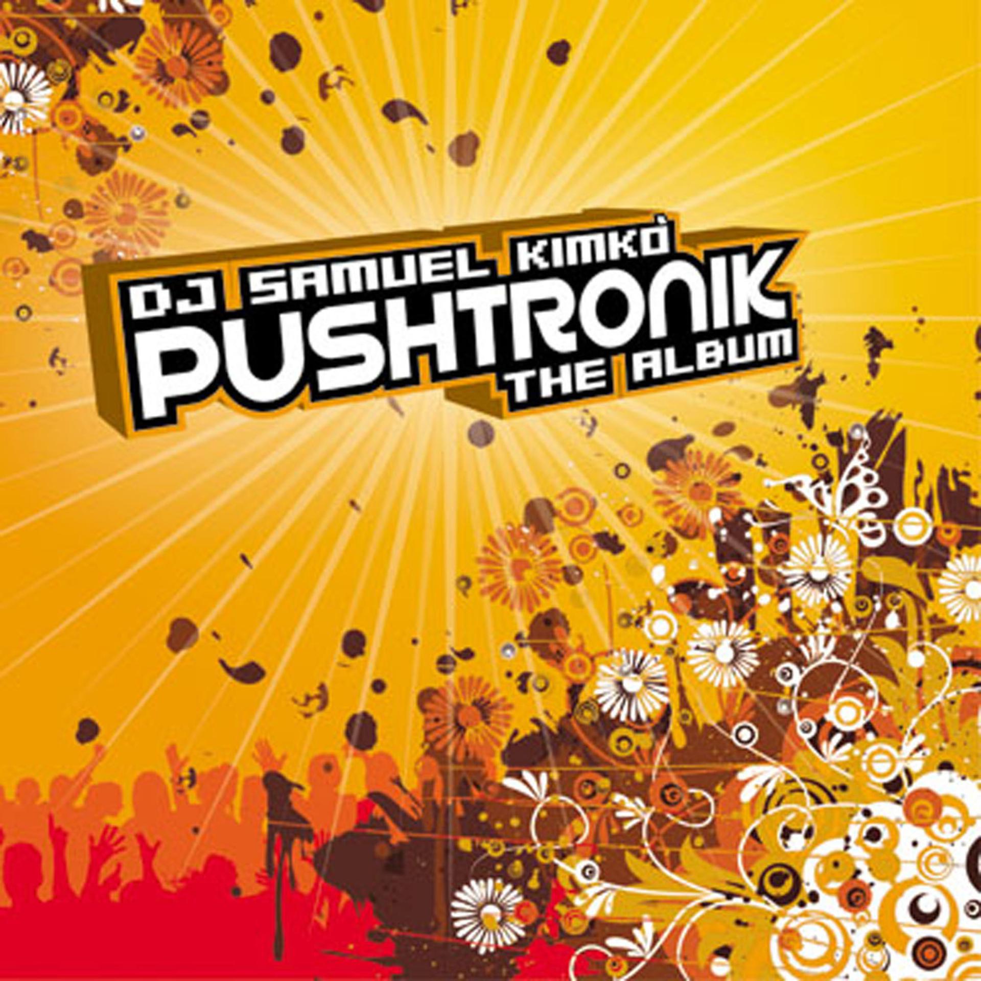 Постер альбома Pushtronik the Album