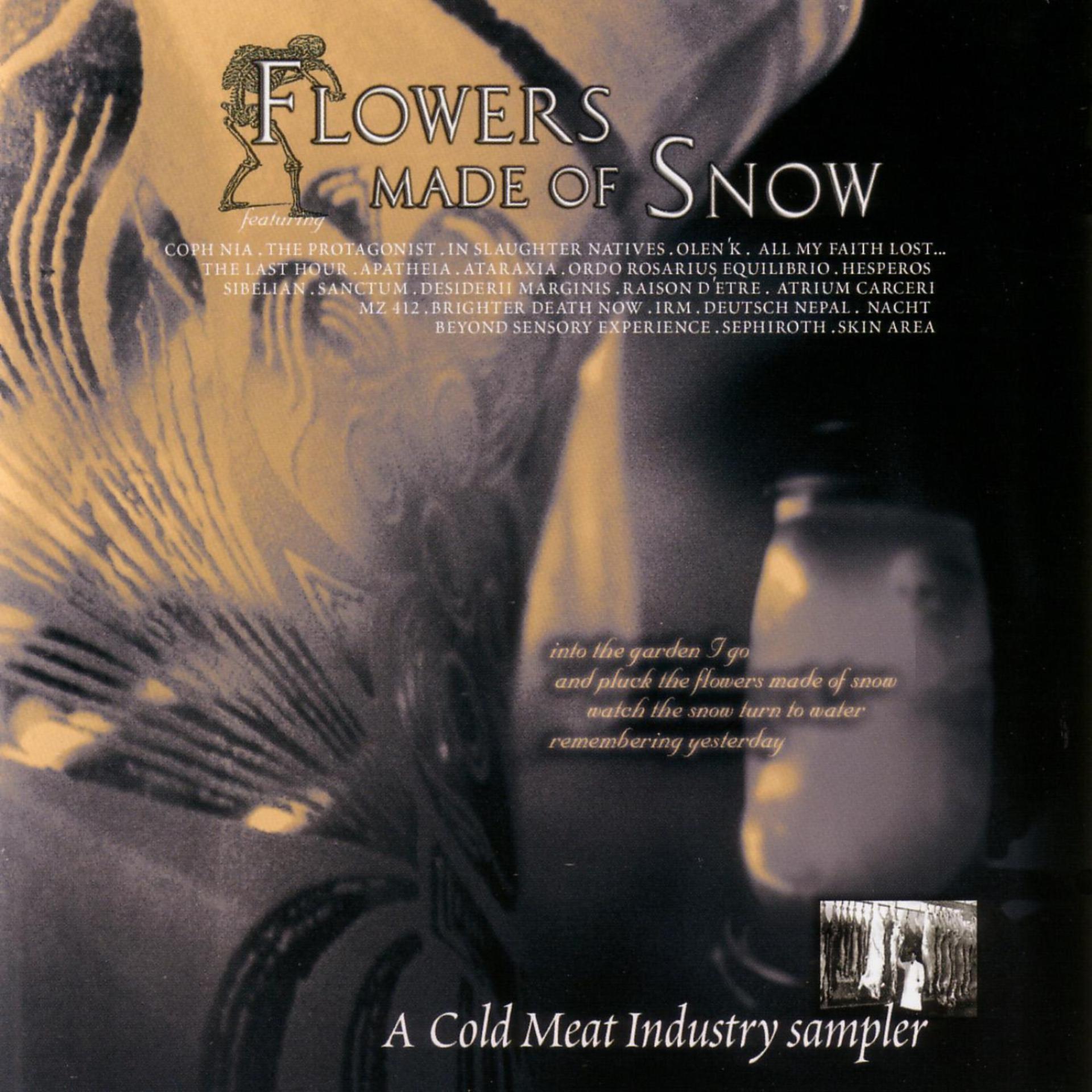 Постер альбома Flowers Made Of Snow