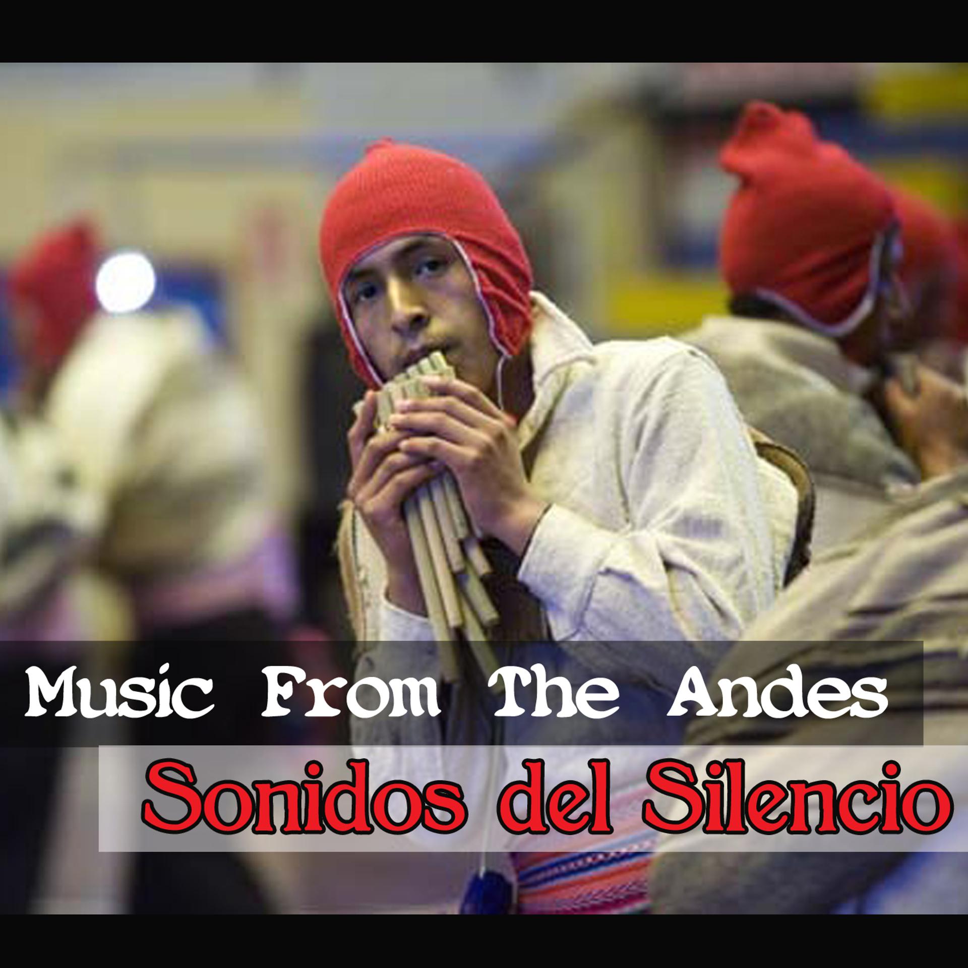 Постер альбома Music From The Andes - Sonidos del Silencio