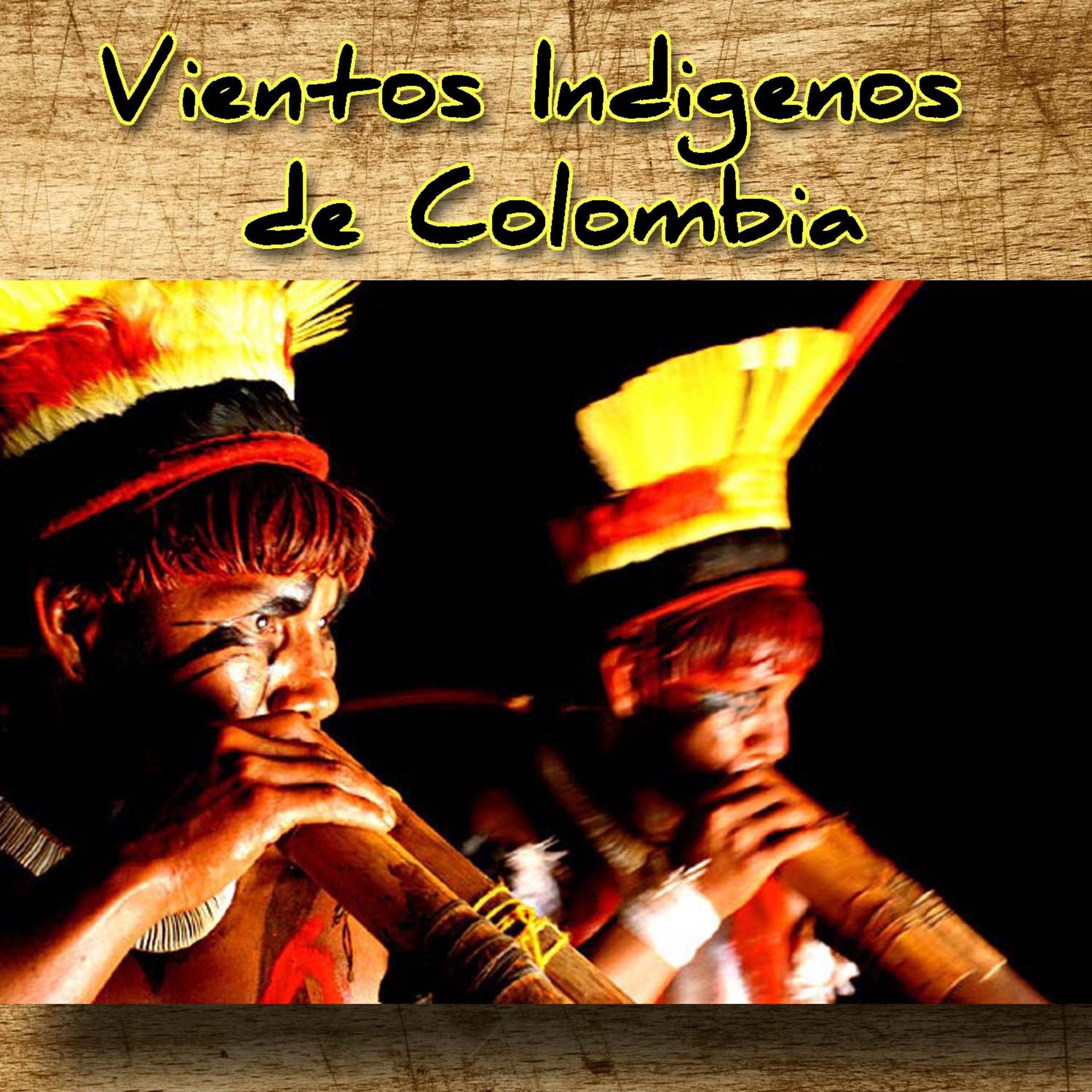 Постер альбома Vientos Indigenos de Colombia
