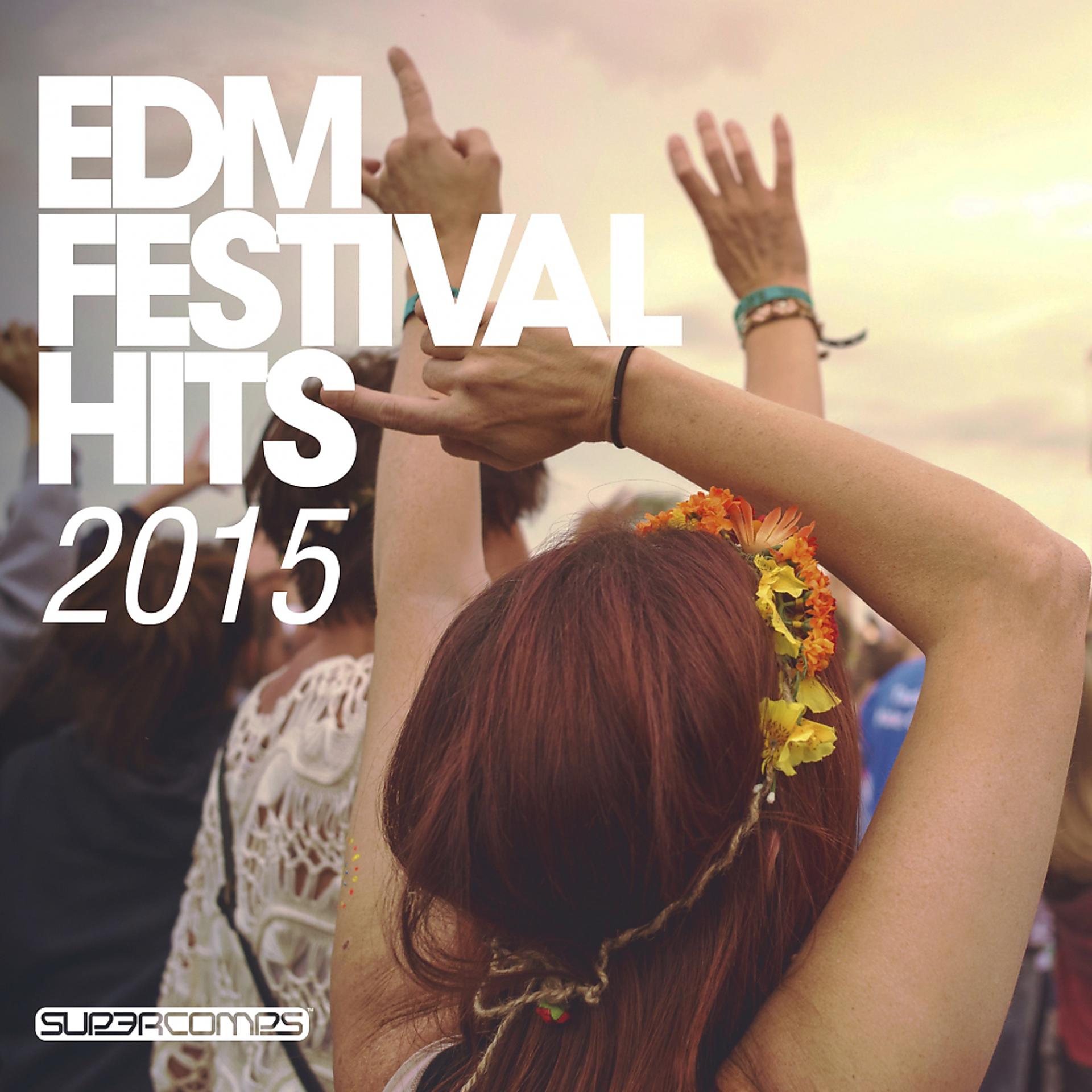Постер альбома EDM Festival Hits 2015