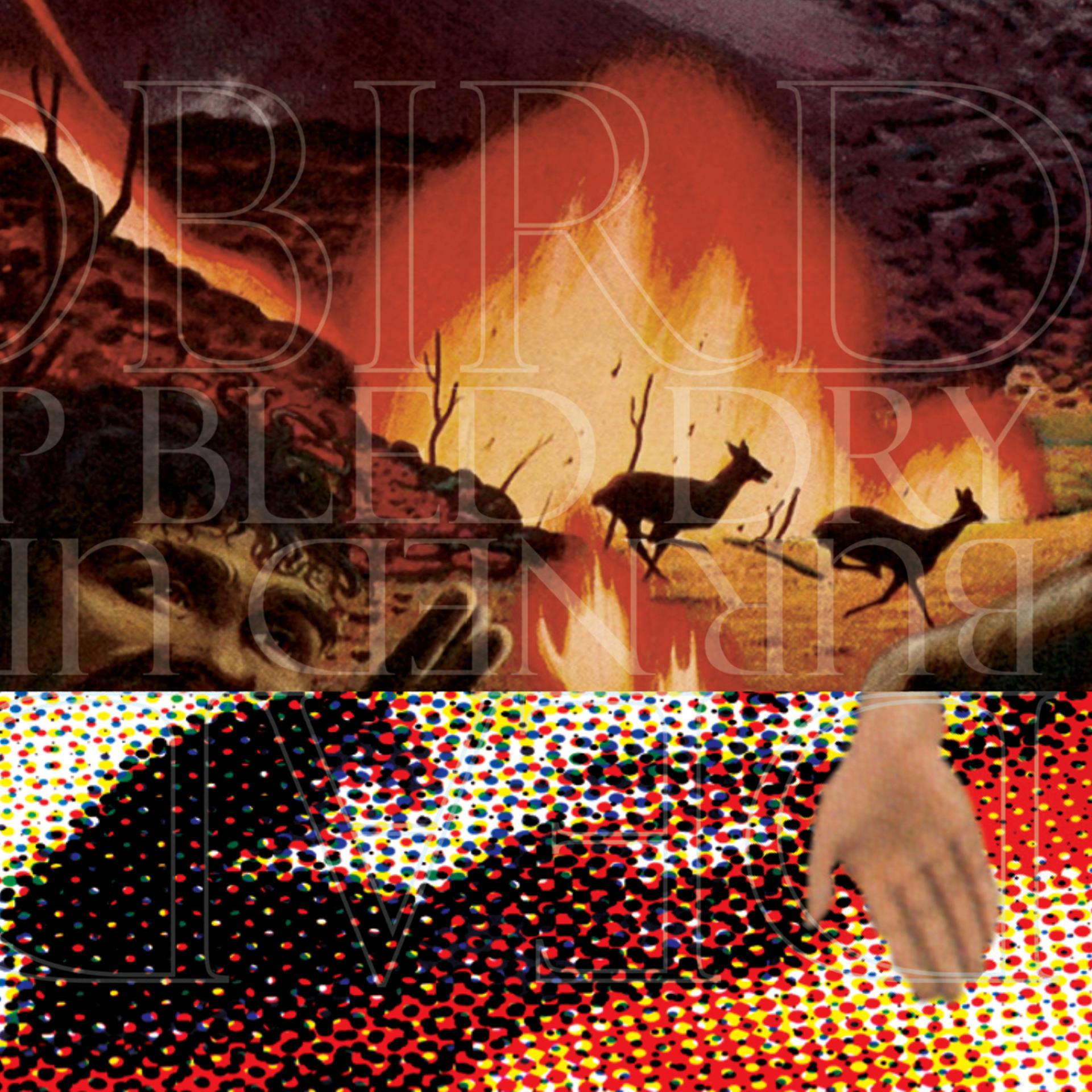 Постер альбома Deadbird / Burned Up Bled Dry - Split