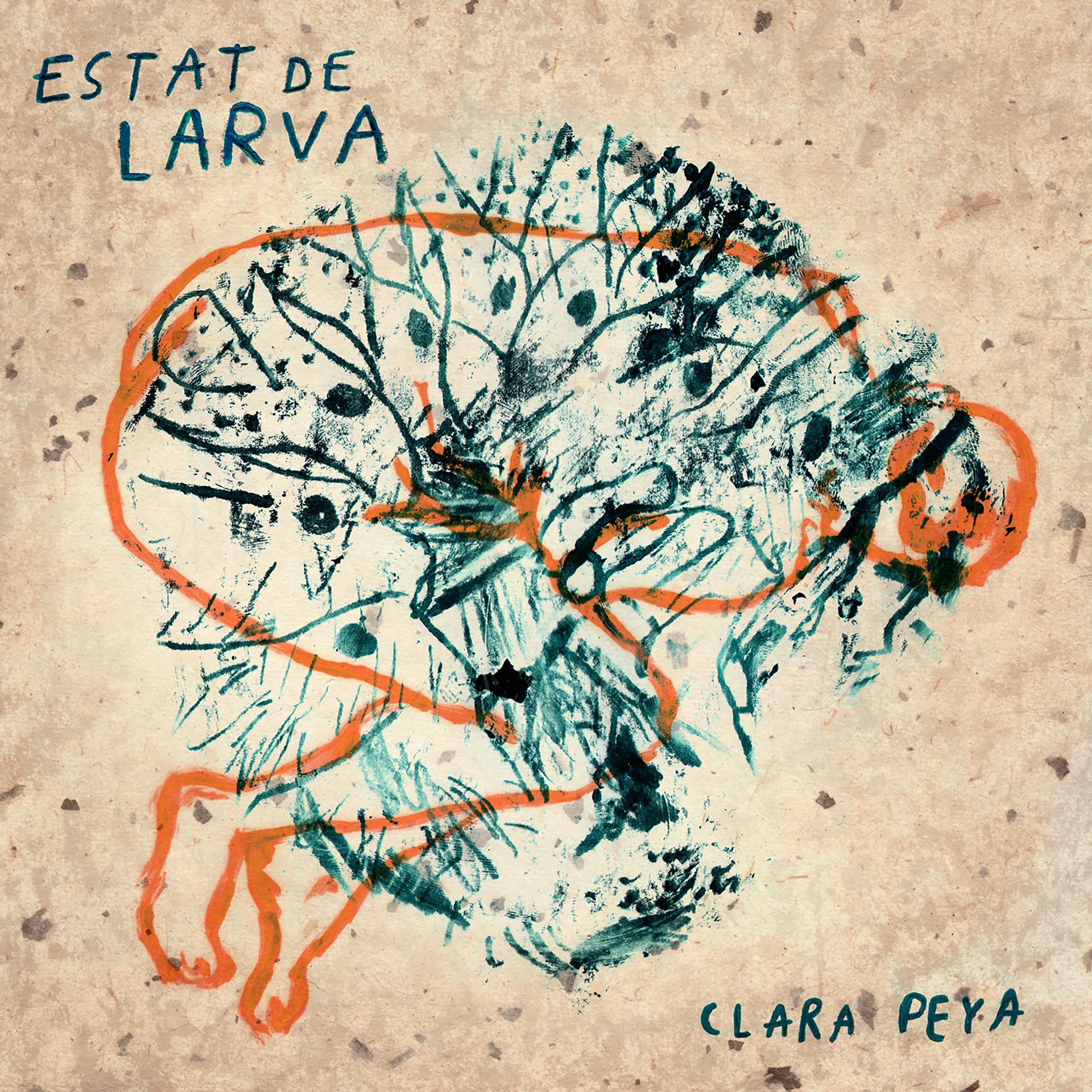 Постер альбома Estat de Larva