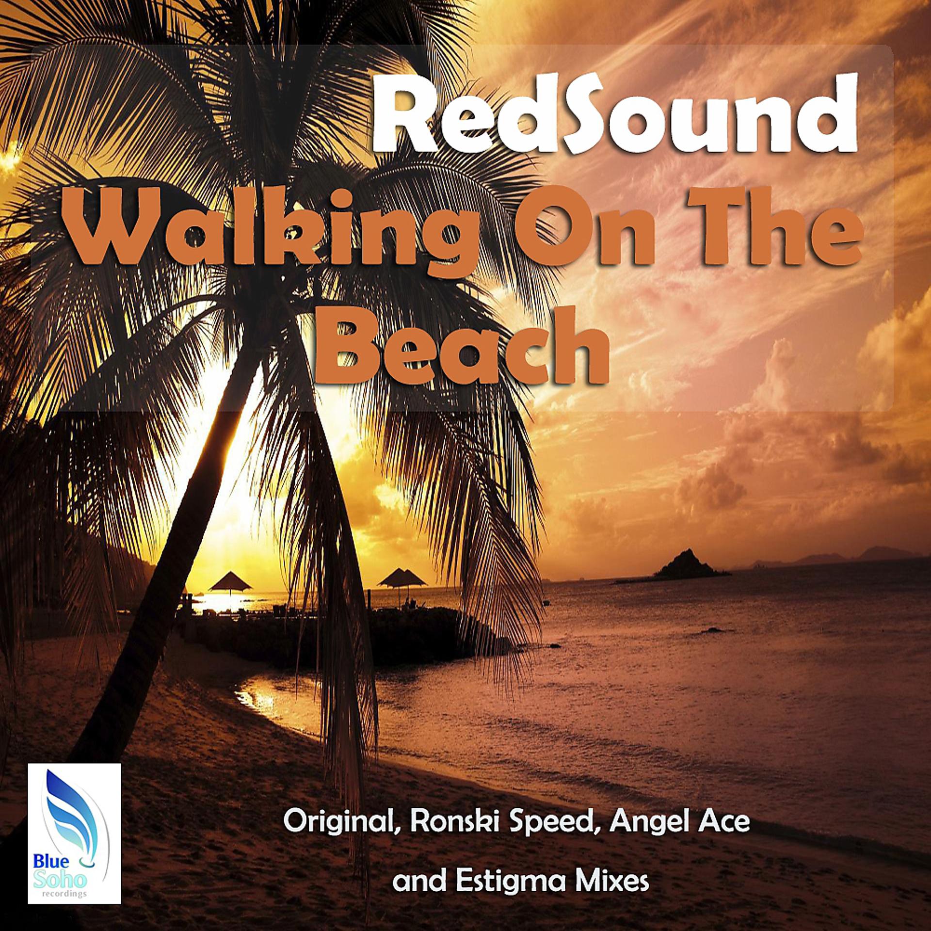 Постер альбома Walking On The Beach