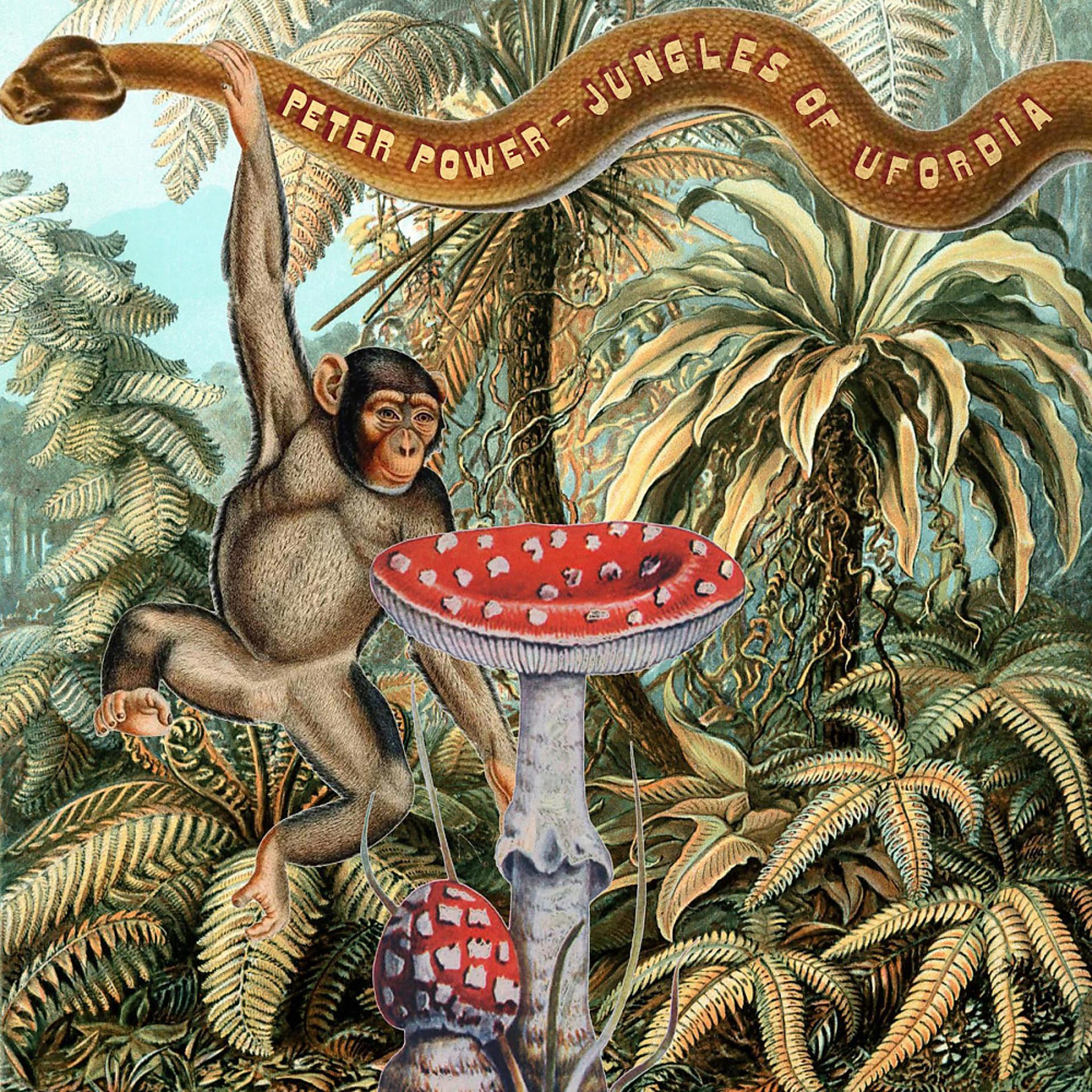 Постер альбома Jungles Of Ufordia