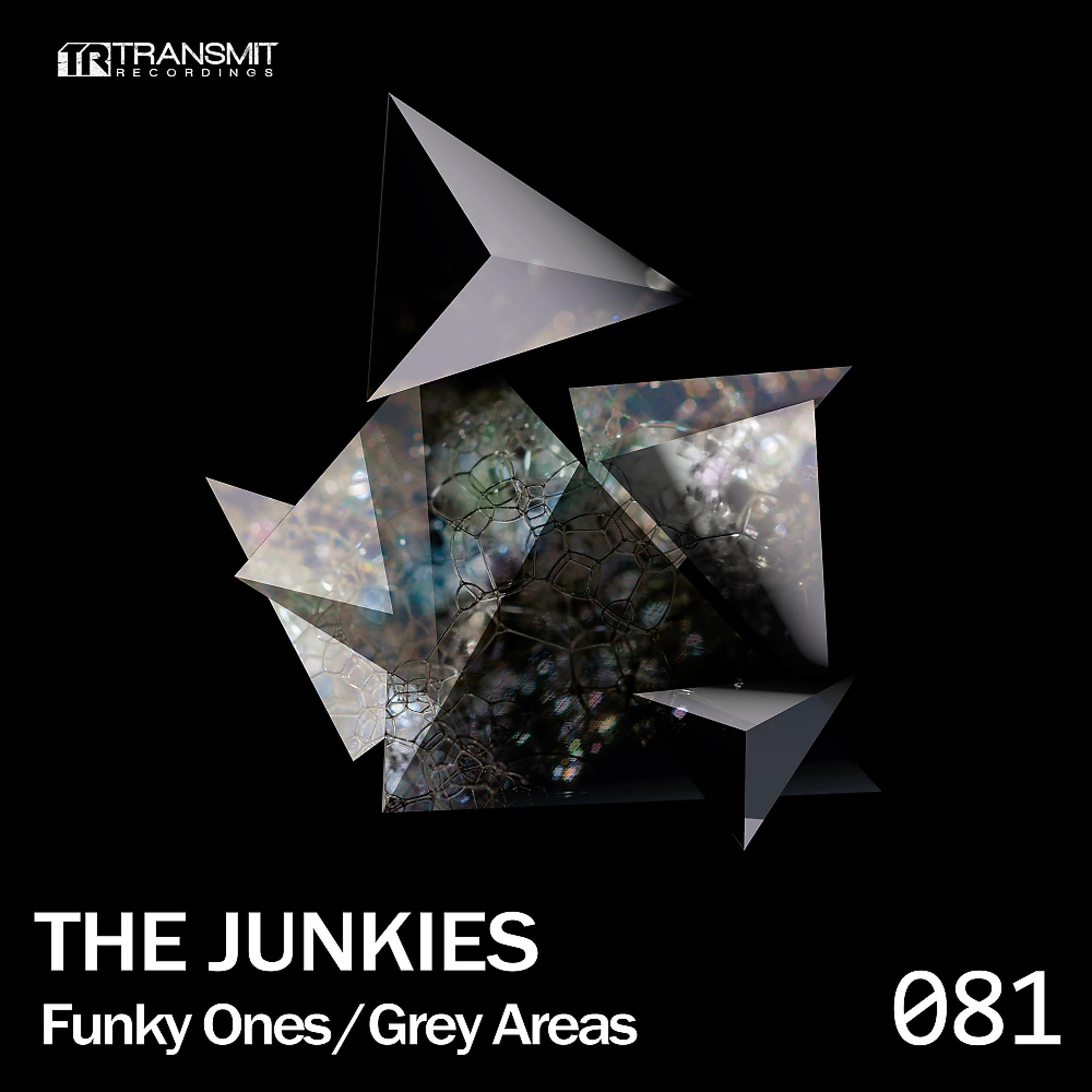 Постер альбома Funky Ones / Grey Areas