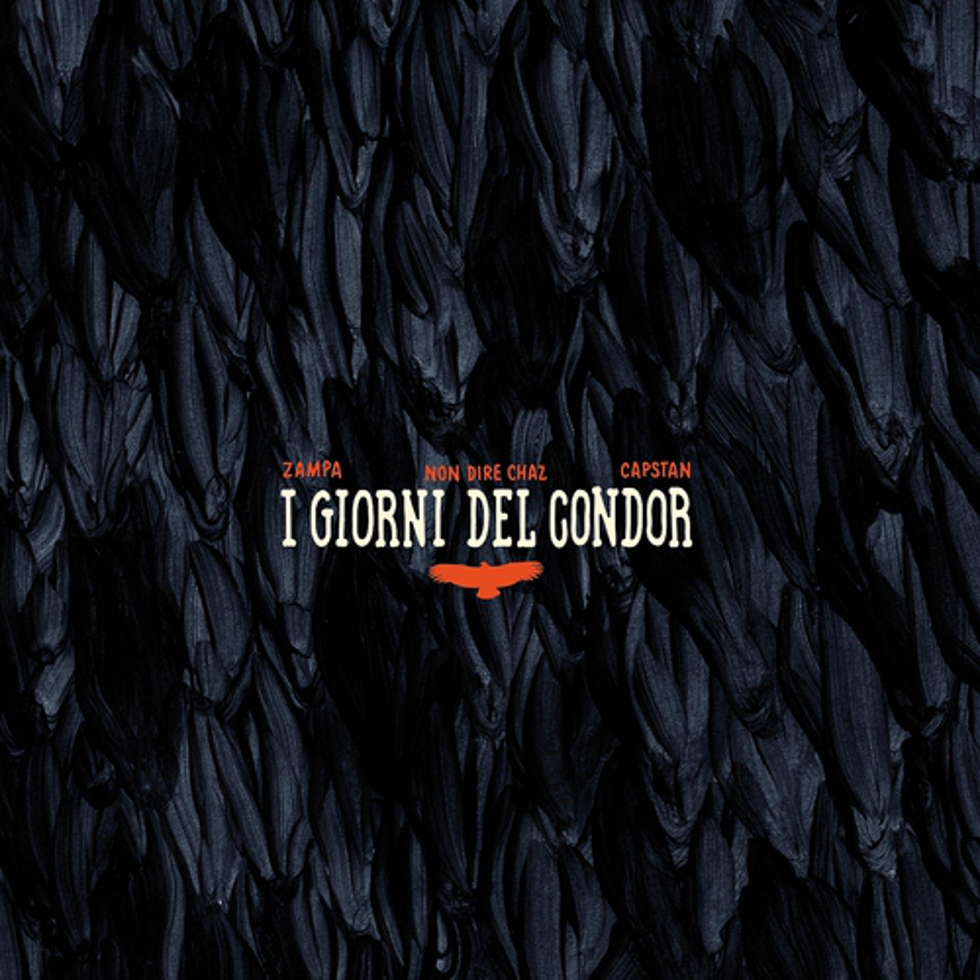 Постер альбома I giorni del Condor