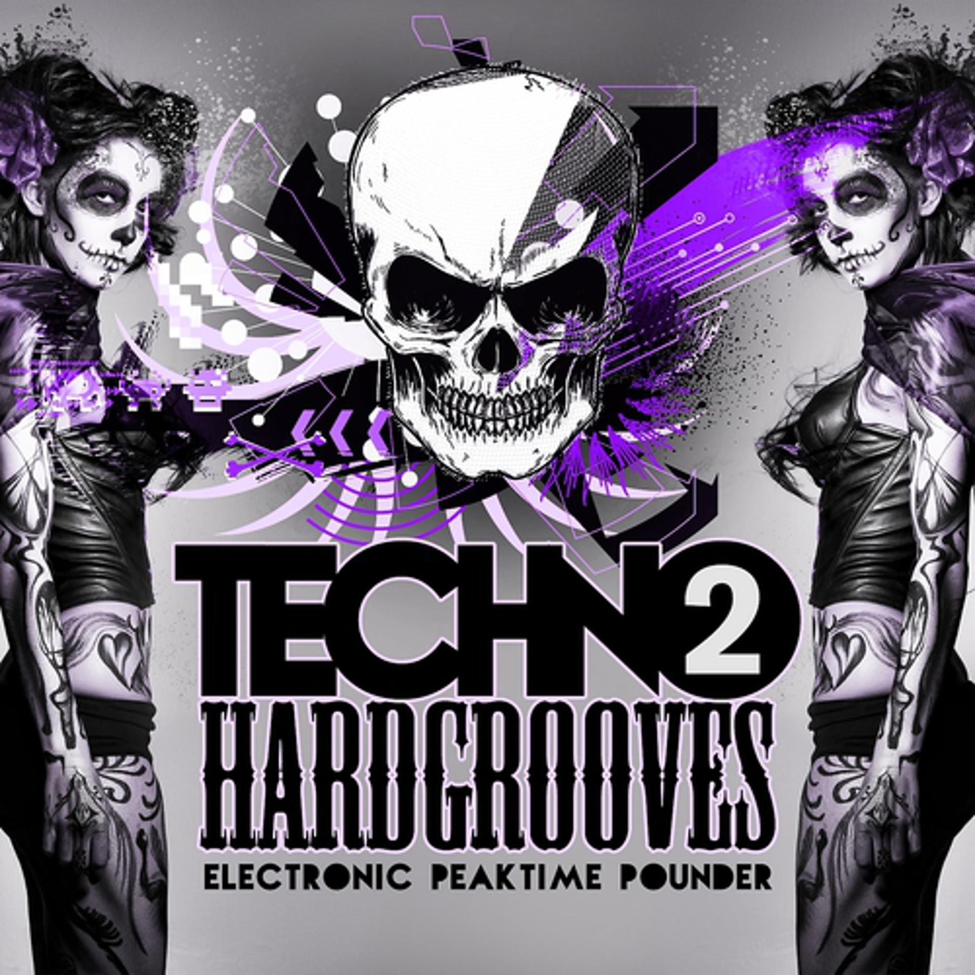 Постер альбома Techno HardGrooves, Vol.2
