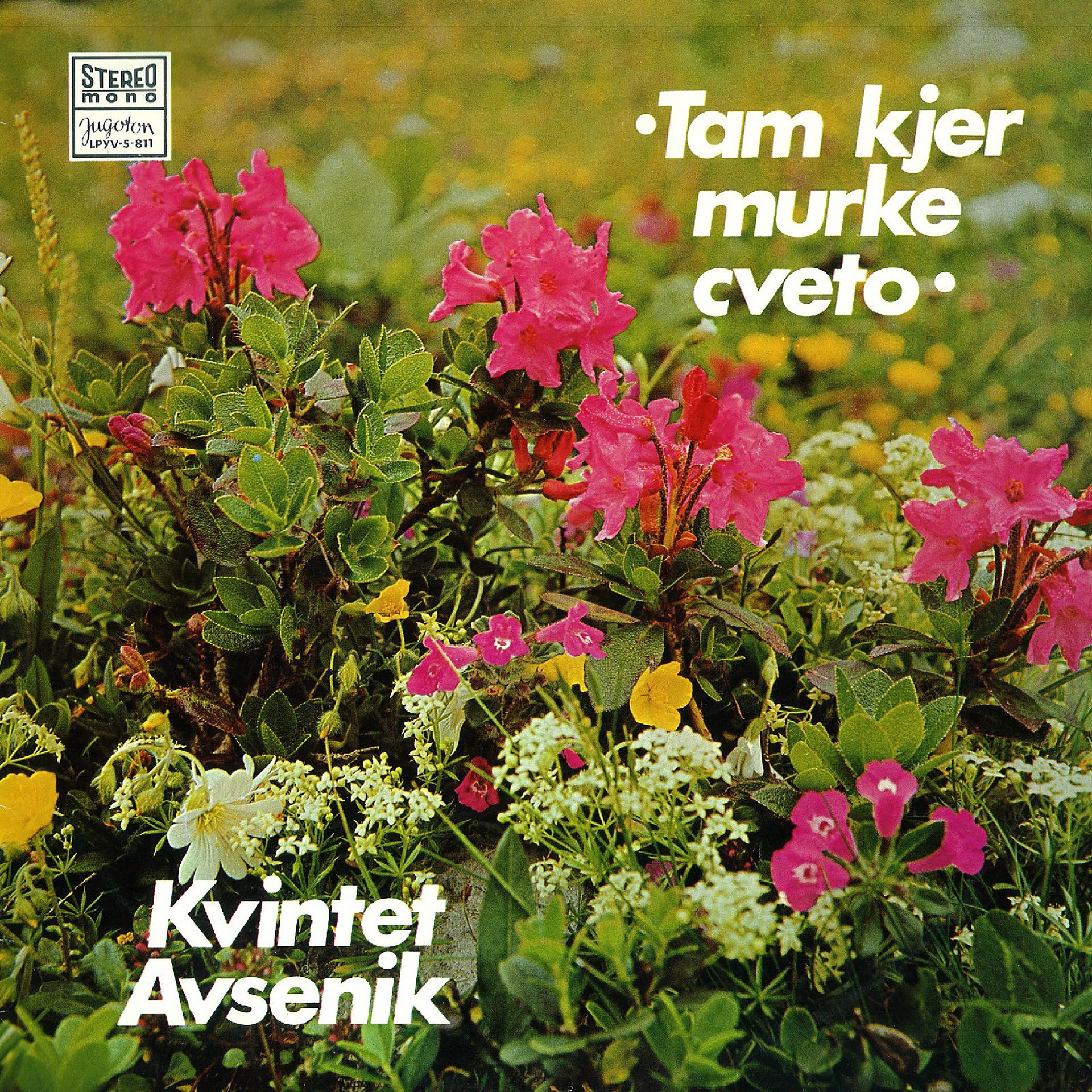 Постер альбома Tam Kjer Murke