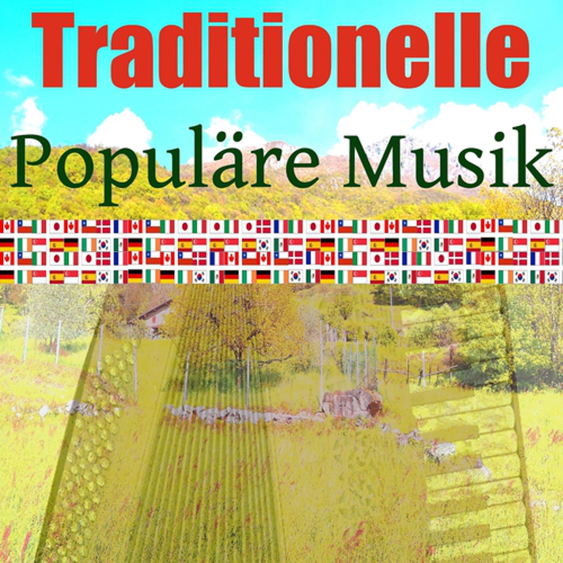 Постер альбома Populäre musik