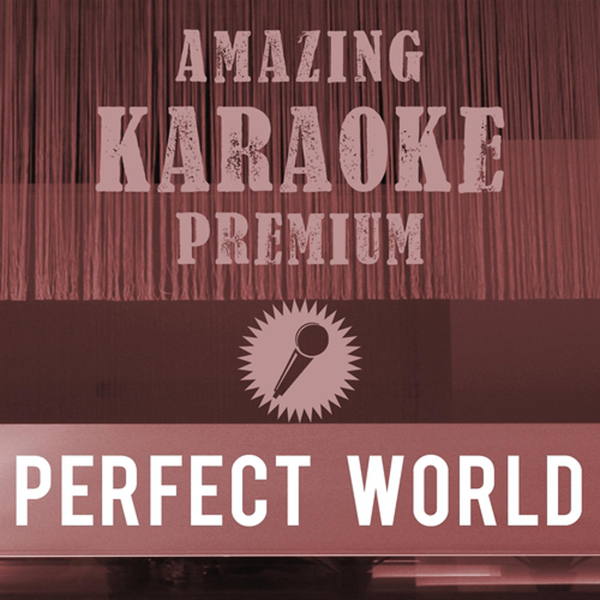 Постер альбома Perfect World (Premium Karaoke Version)