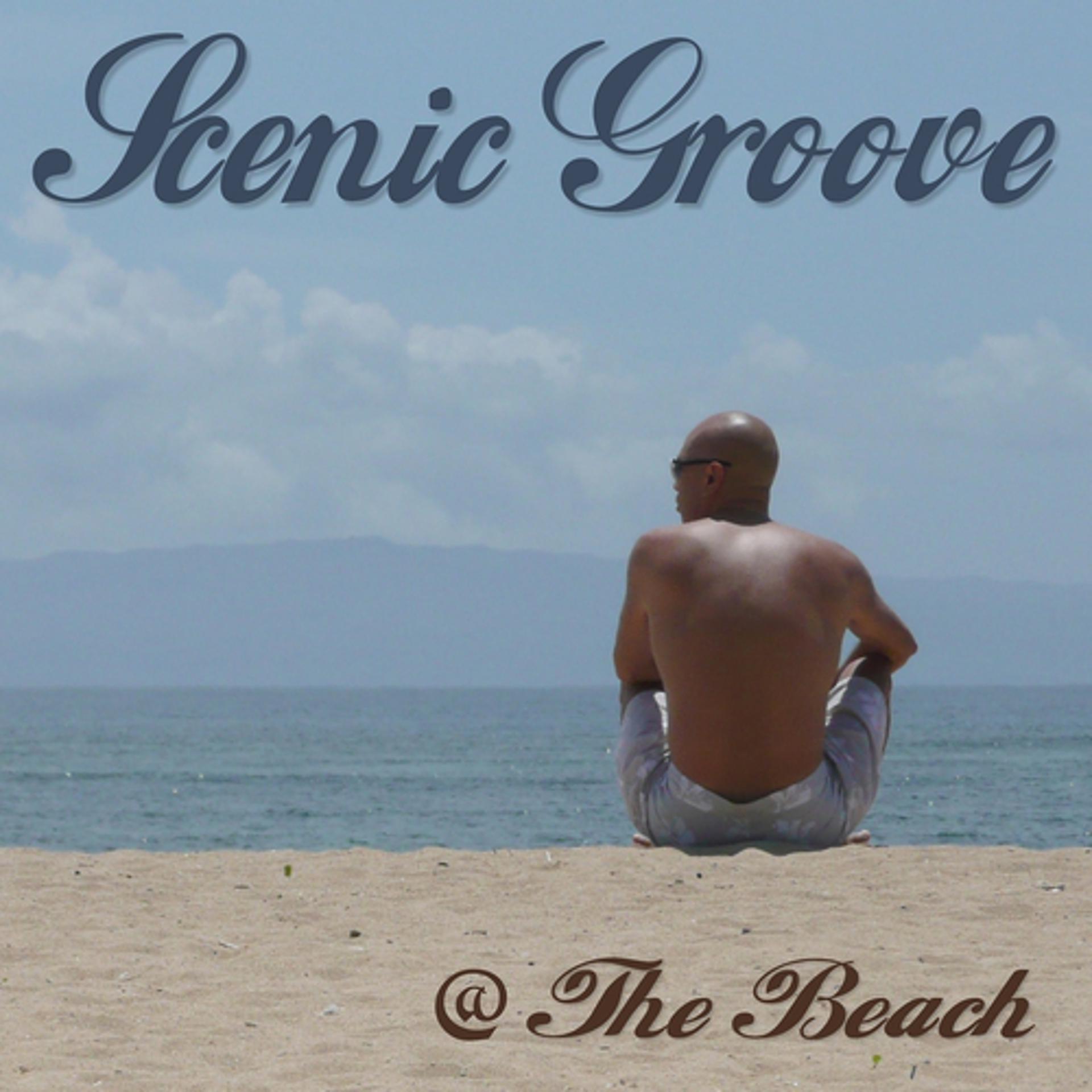Постер альбома Scenic Groove @ The Beach